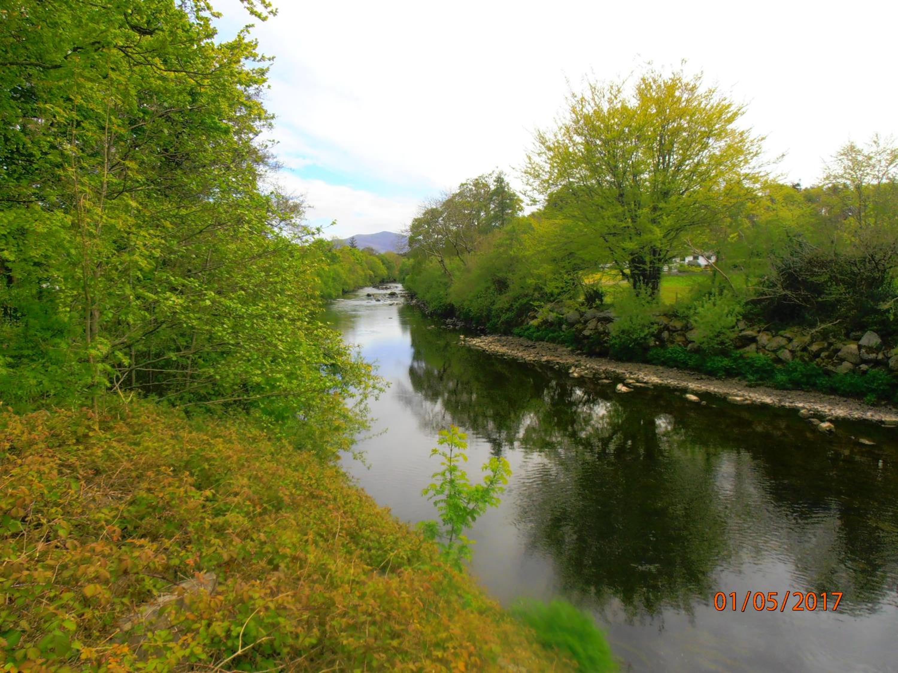 Photo 24