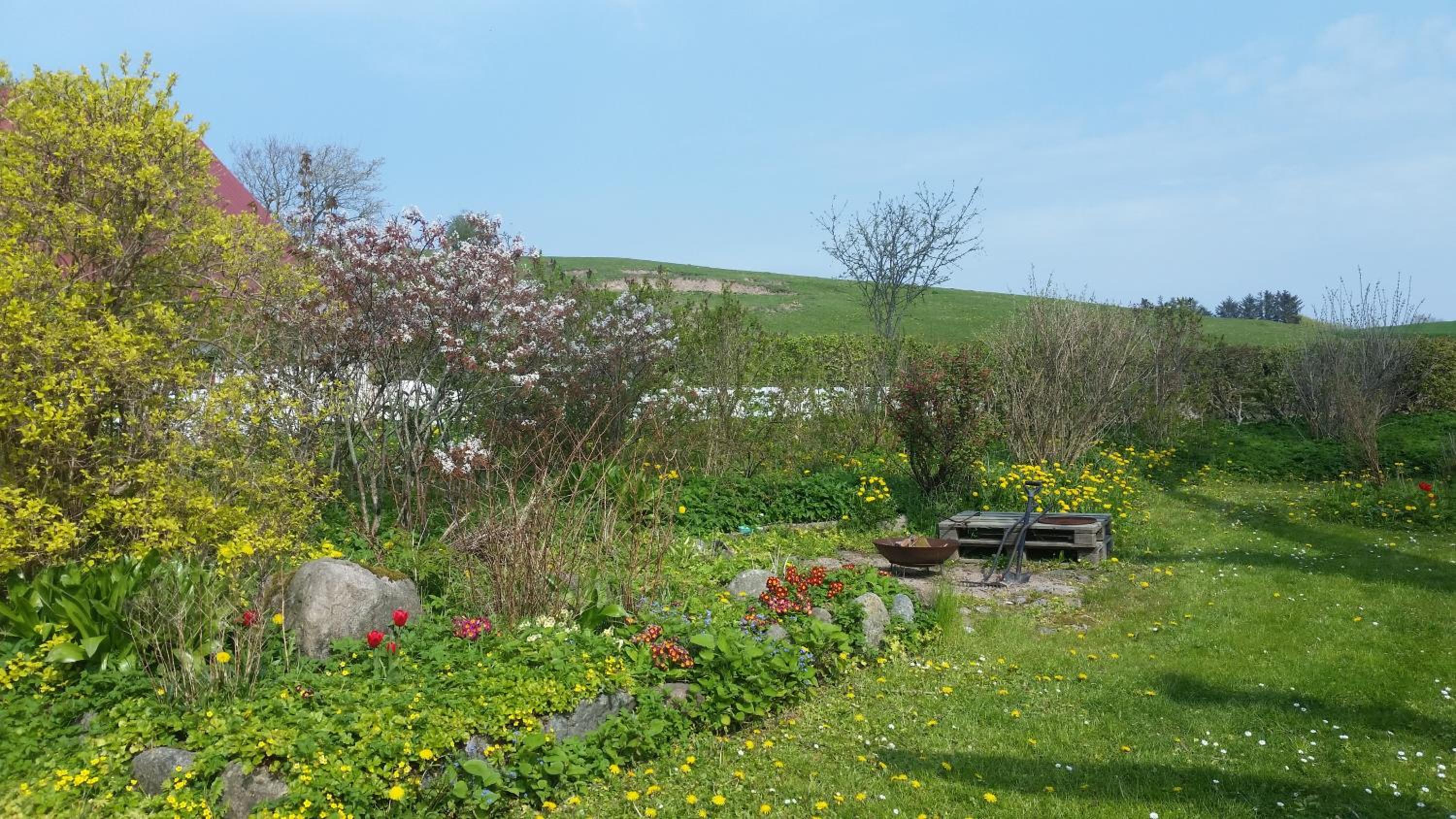 Photo 6