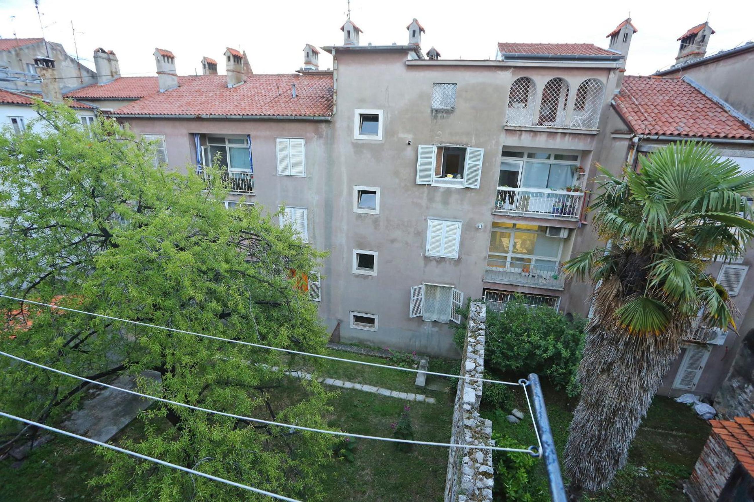 Viola Apartment