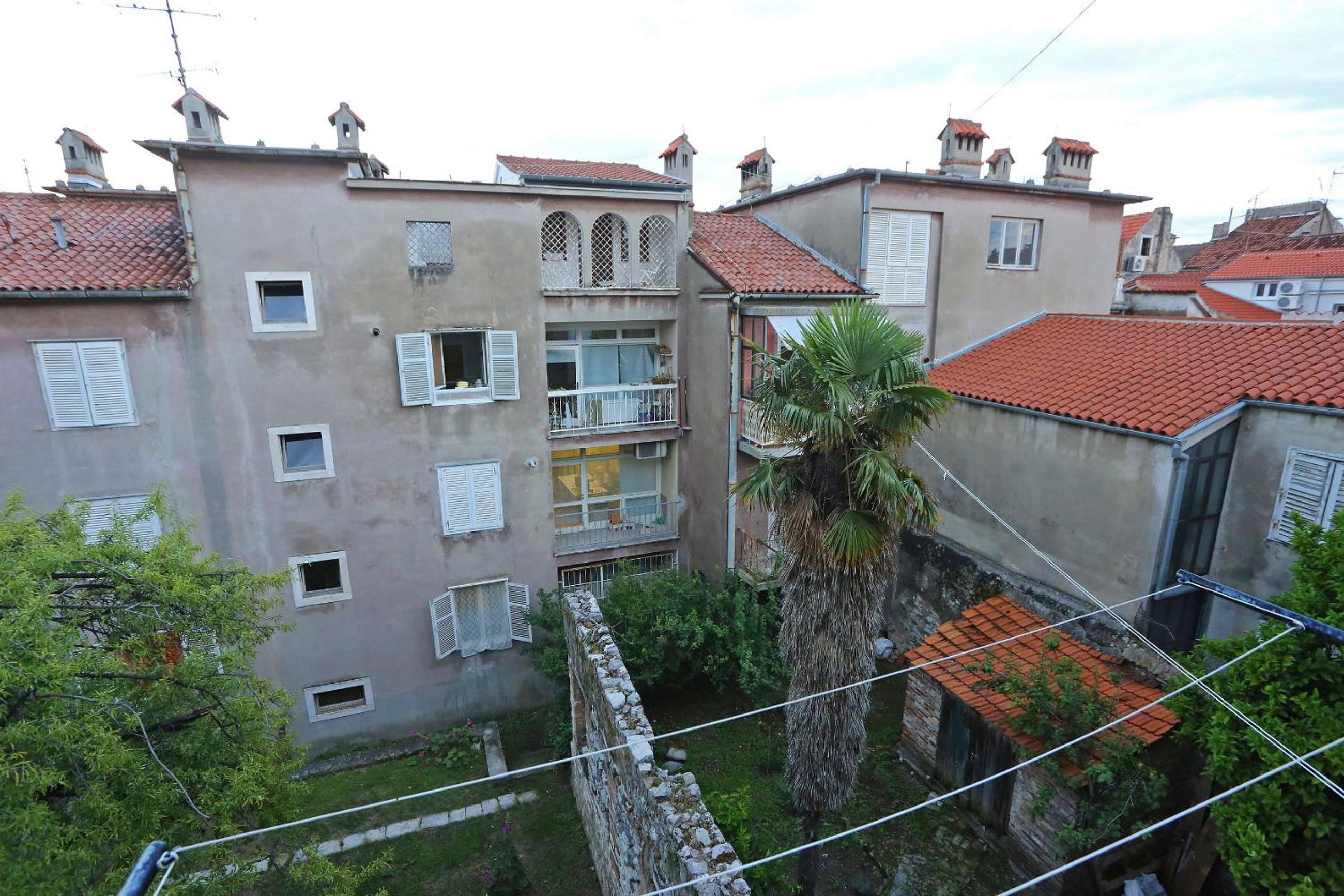 Viola Apartment