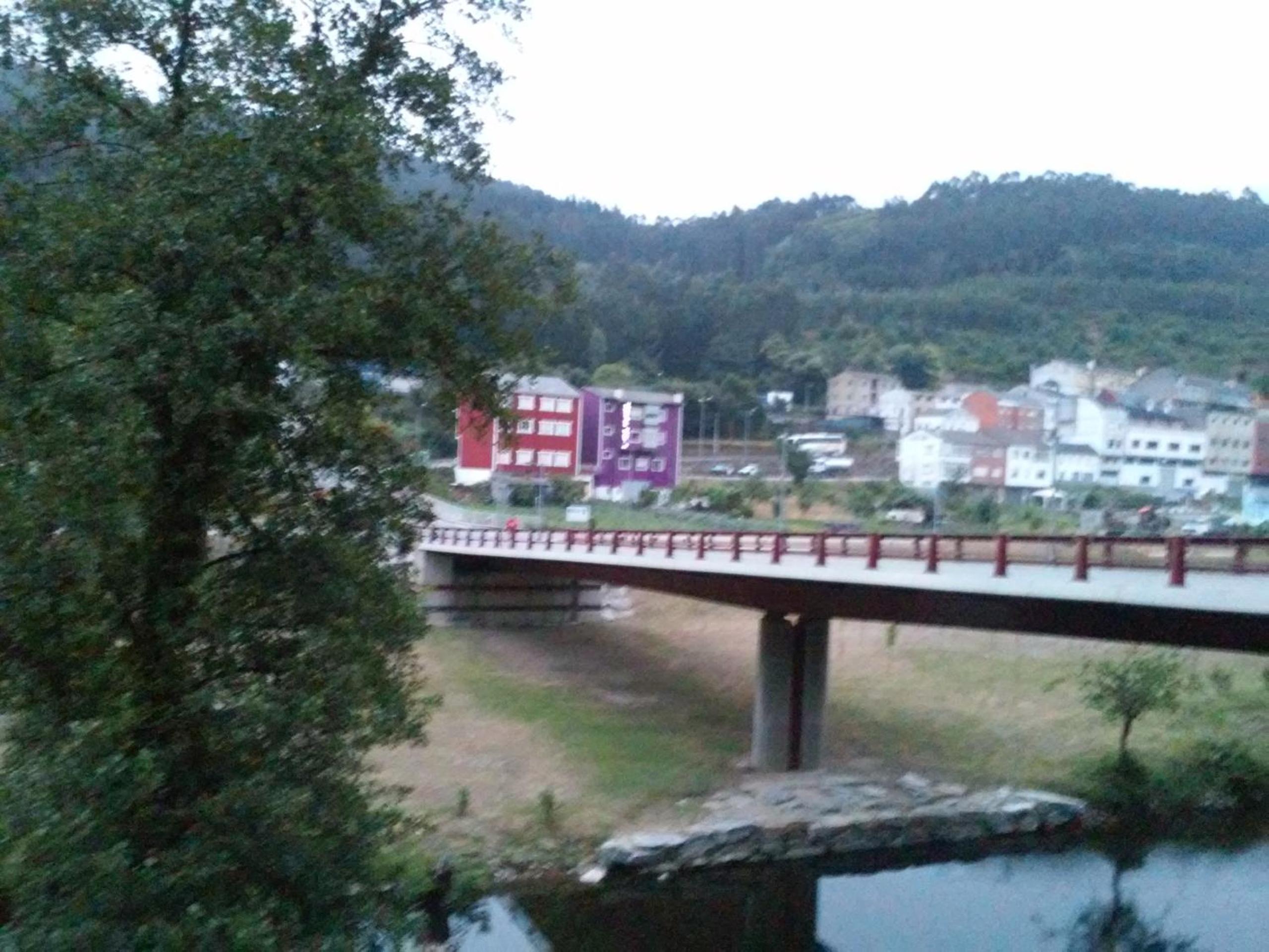 Photo 51