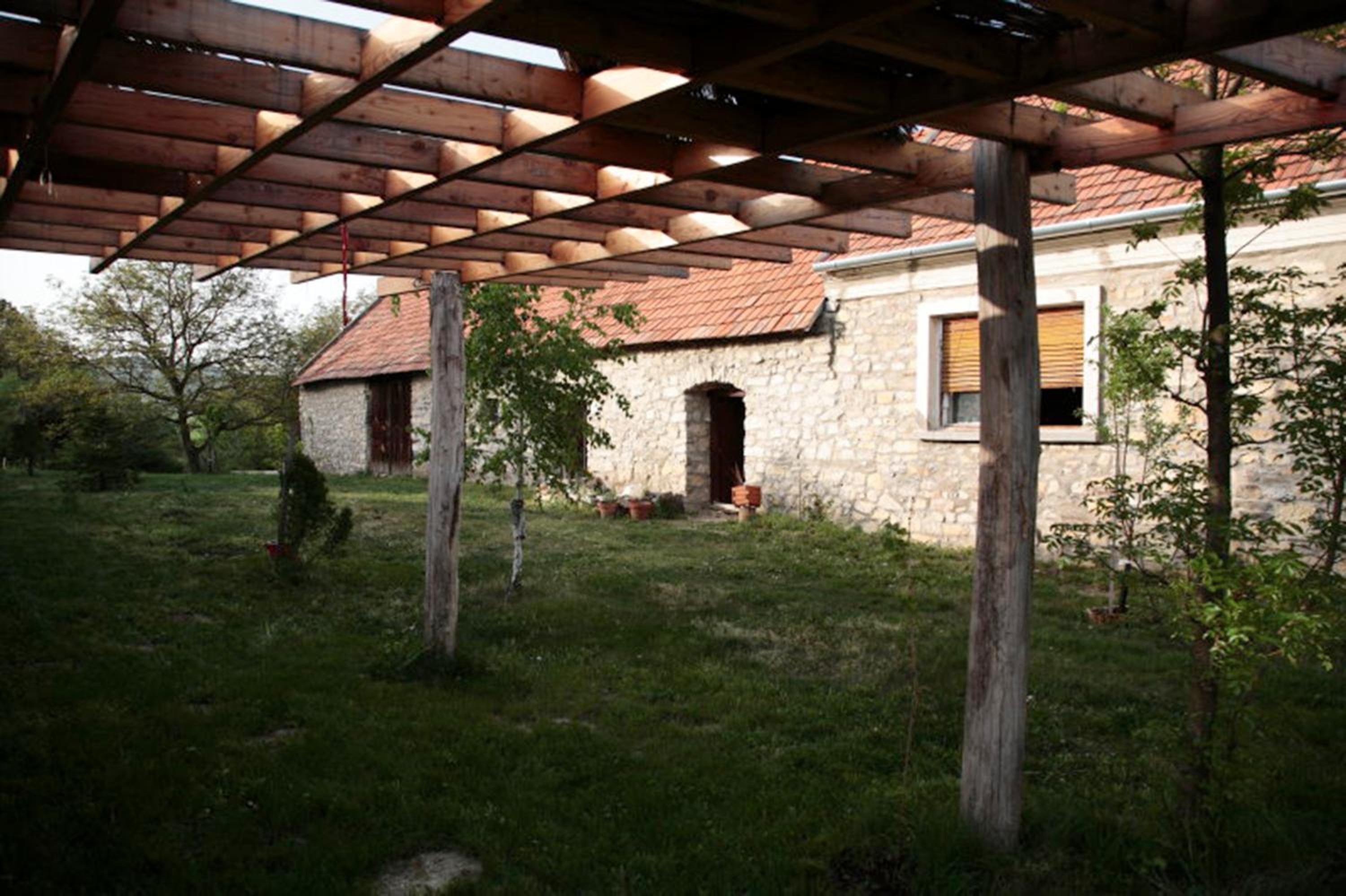Photo 6
