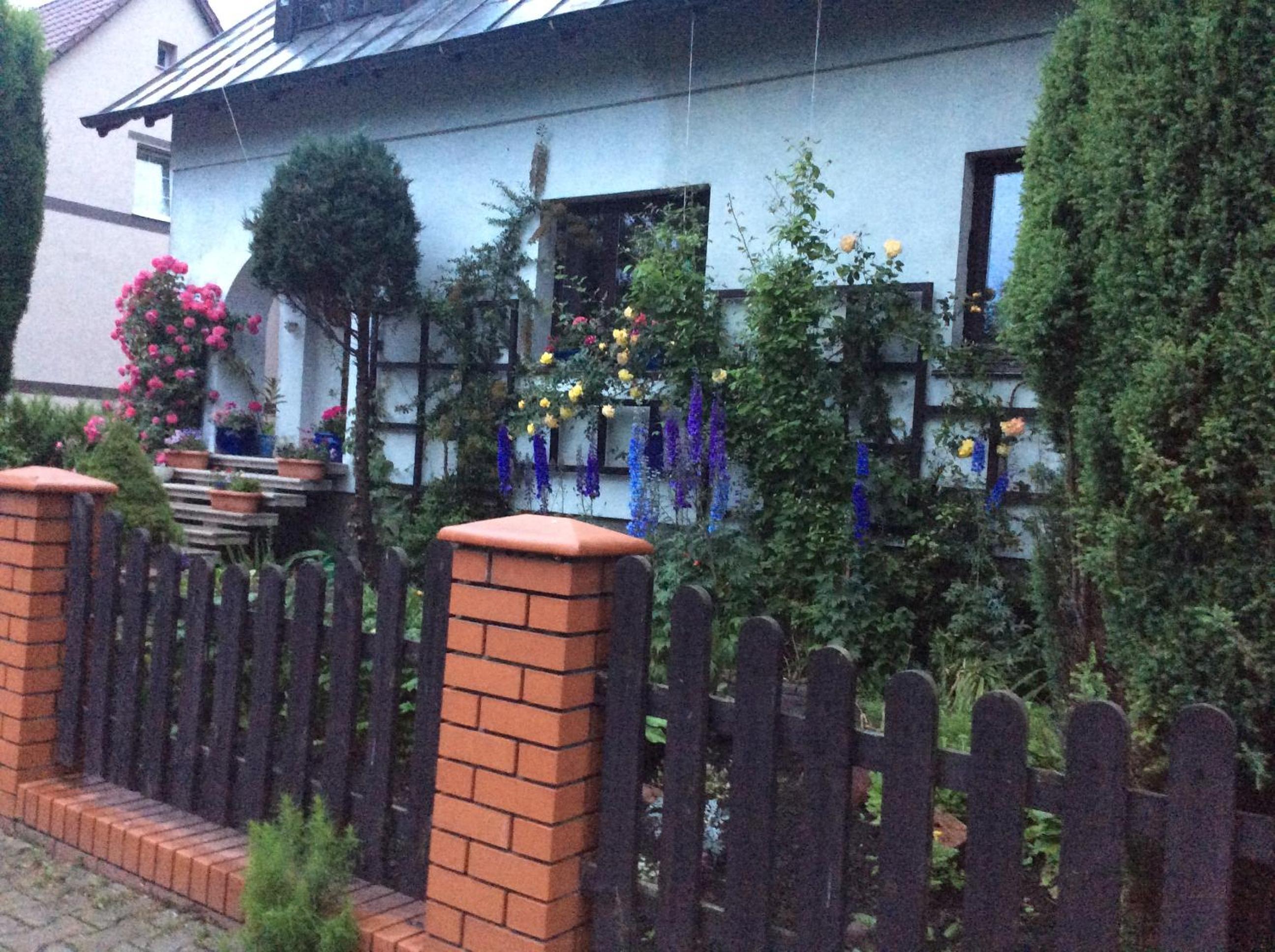 Photo 17