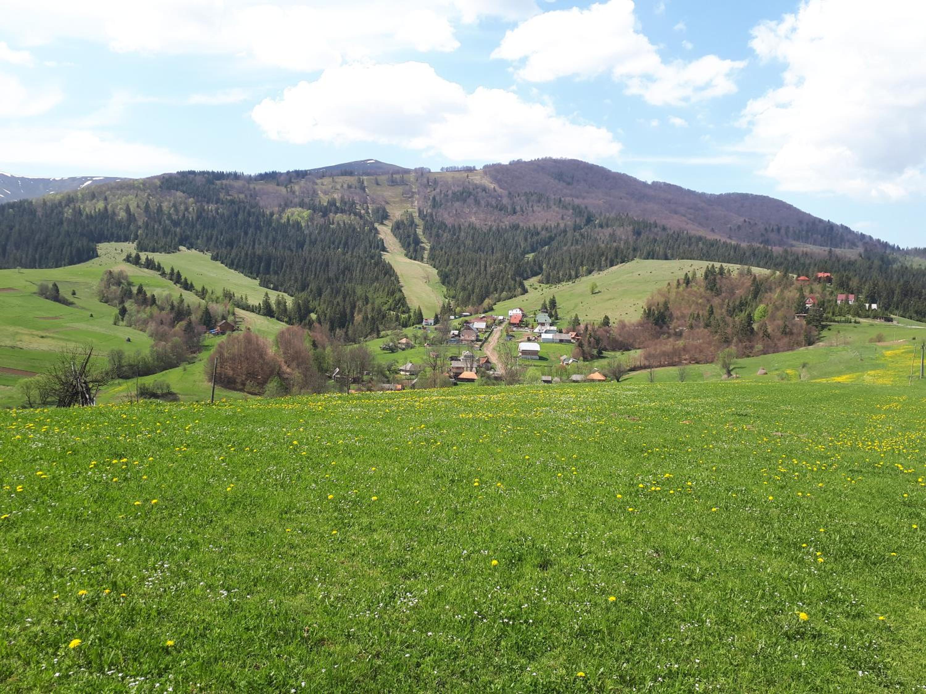 Photo 43