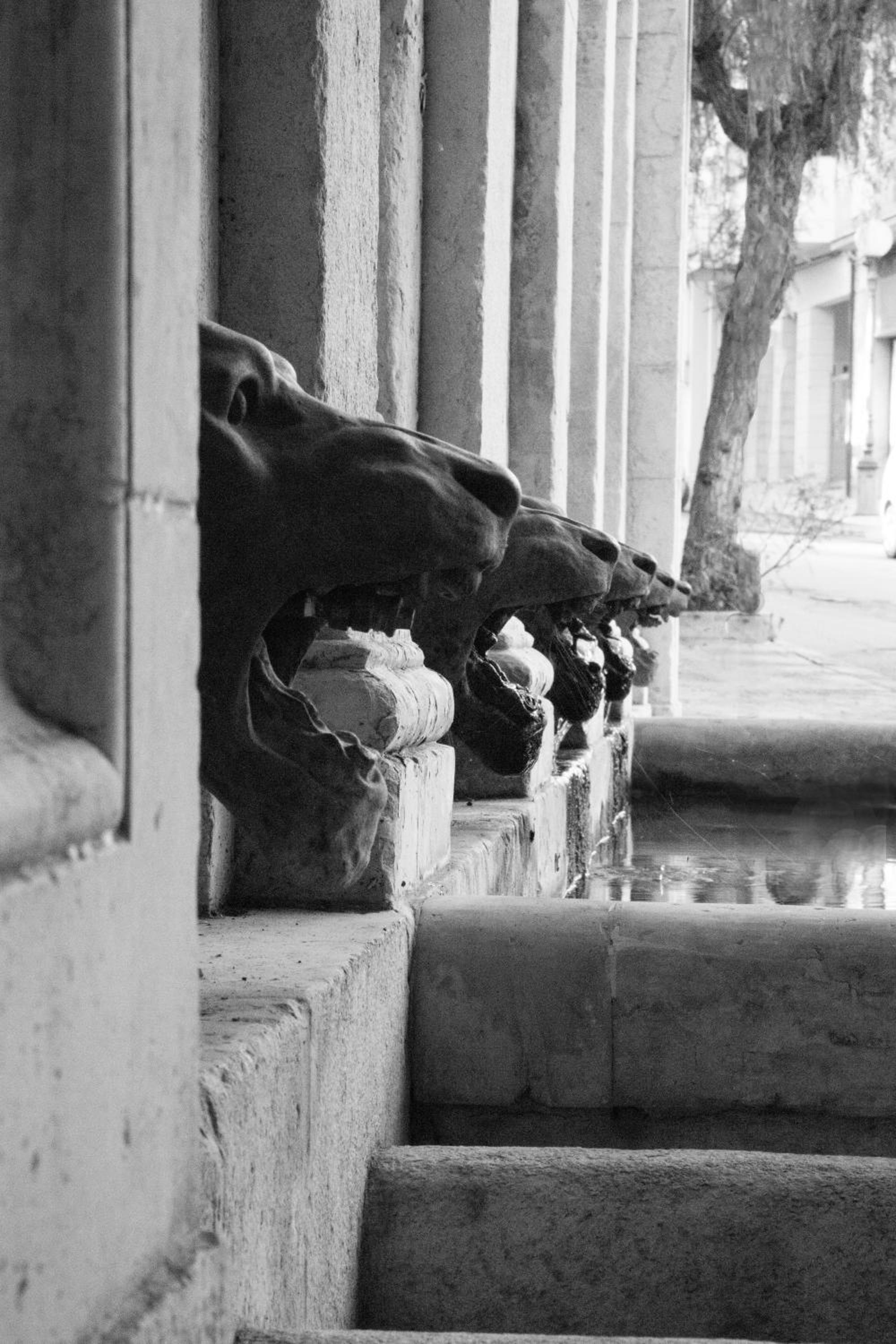 A Casa di Antonella