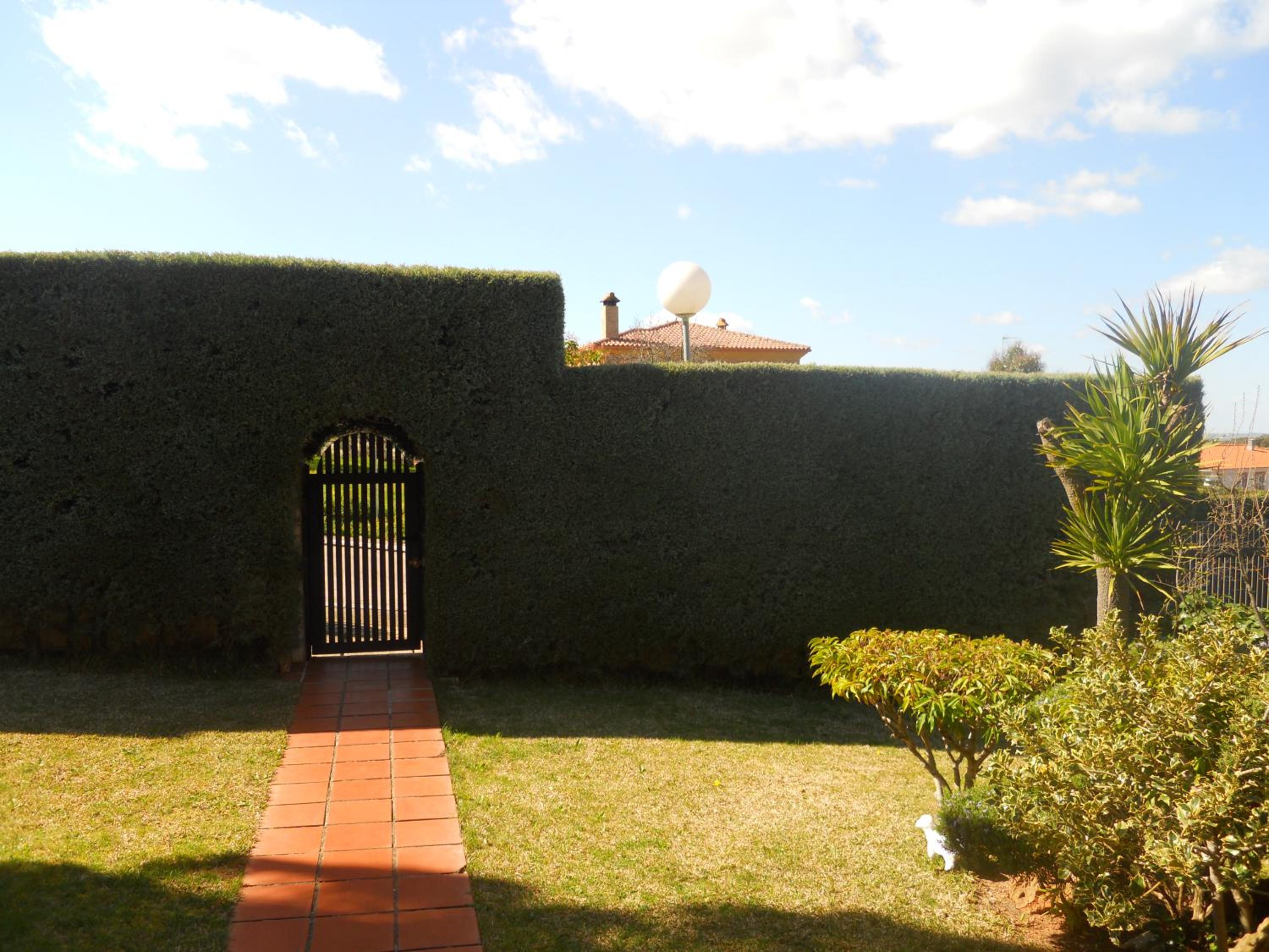Photo 44
