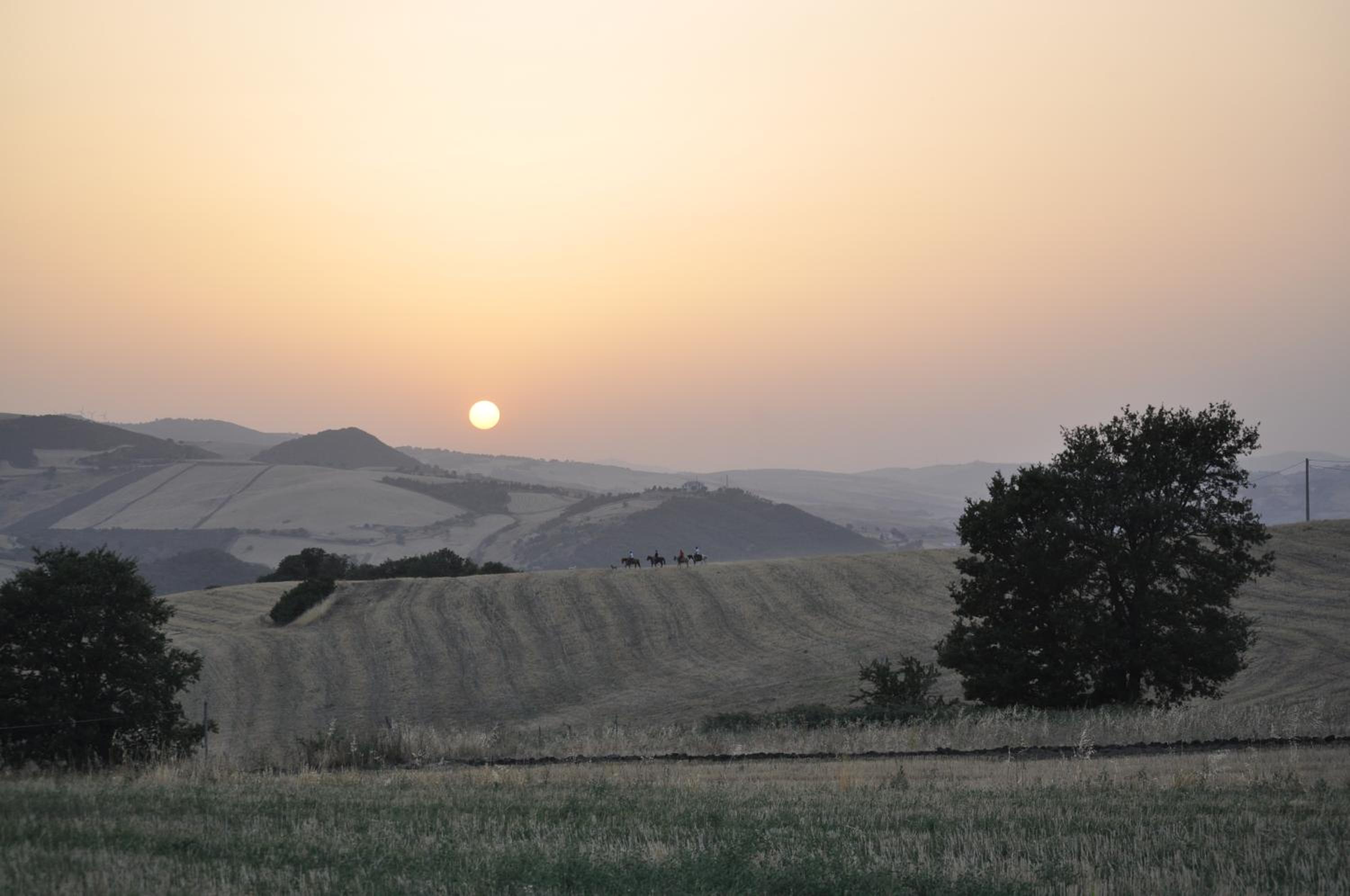 Masseria Straziuso - La Vaccariccia