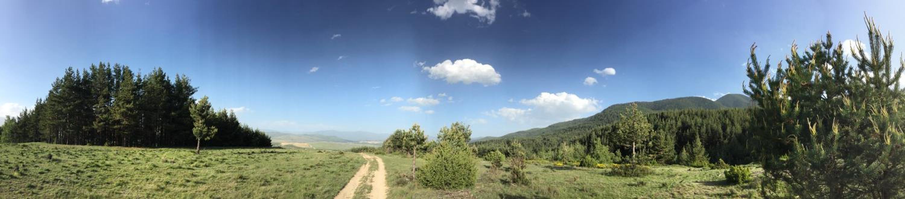 Photo 42