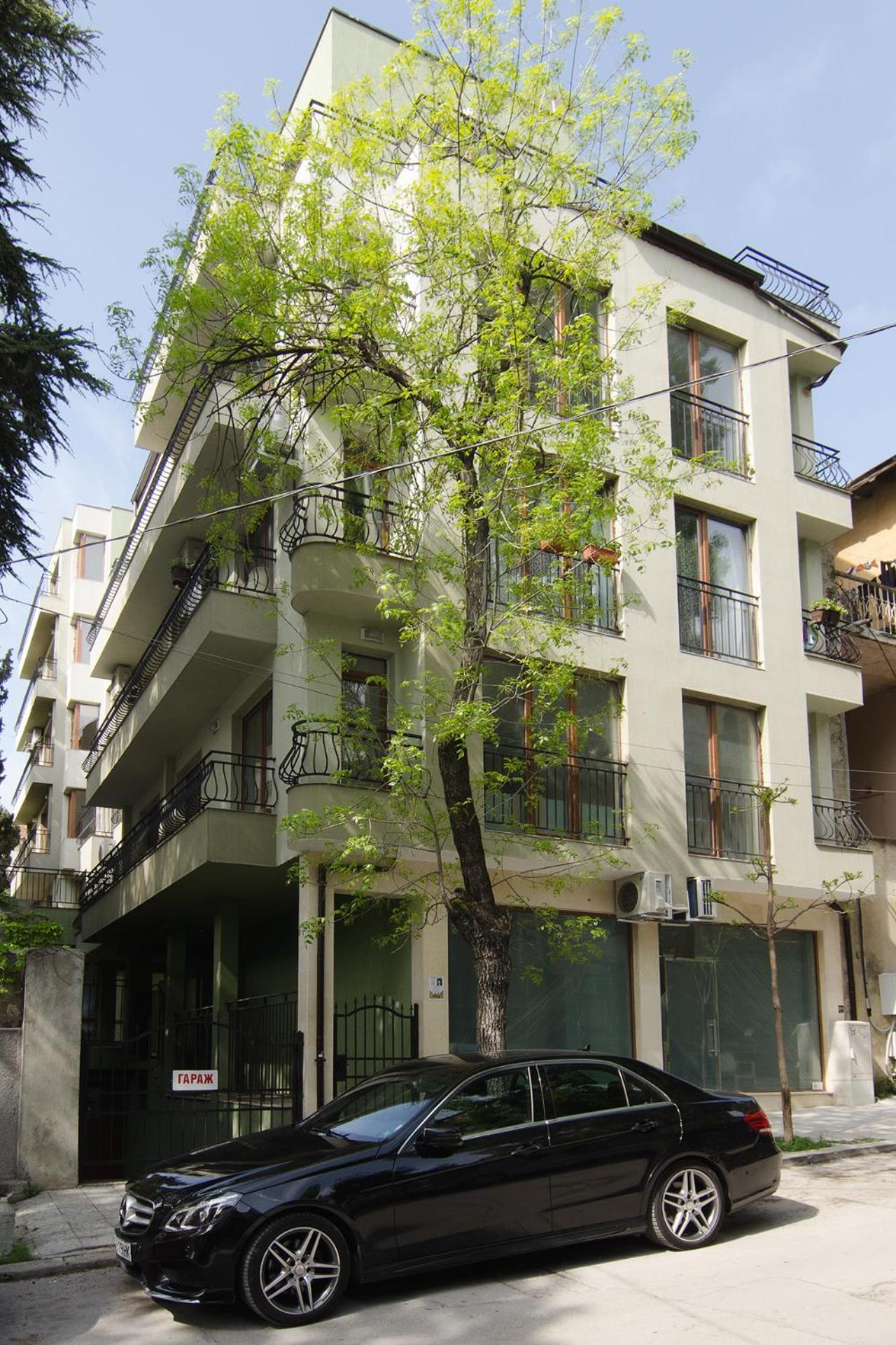 Photo 25