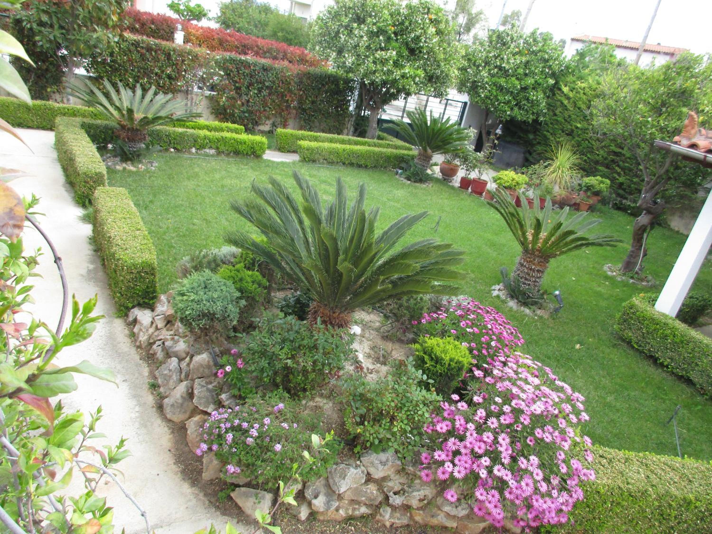 Photo 44