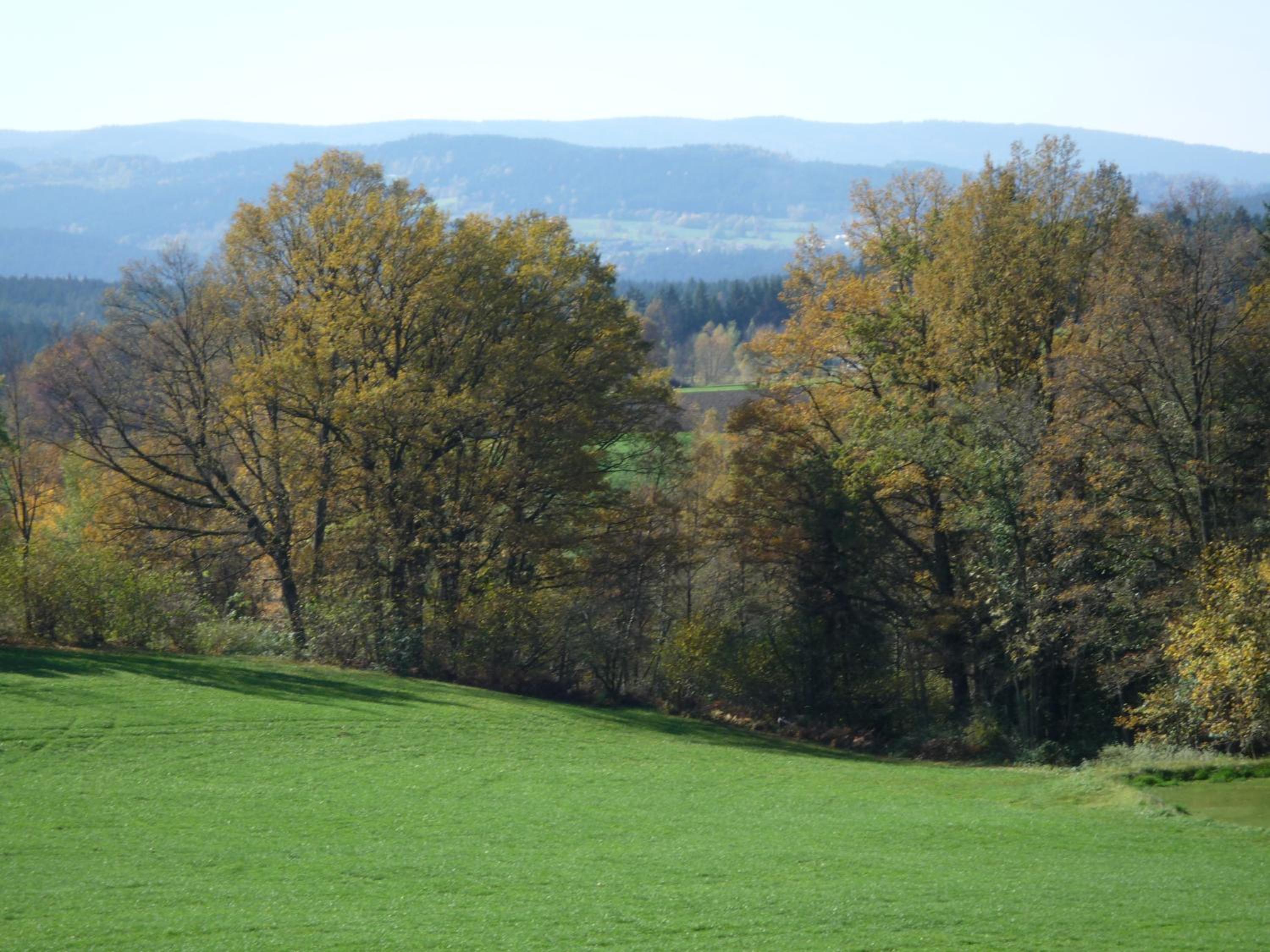 Photo 13