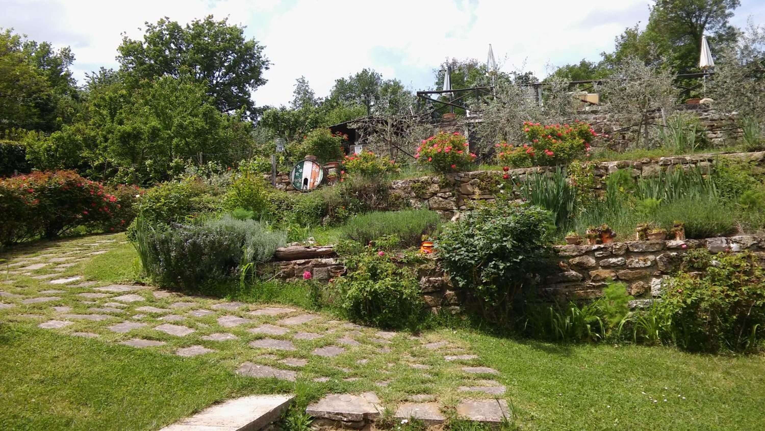 Photo 11