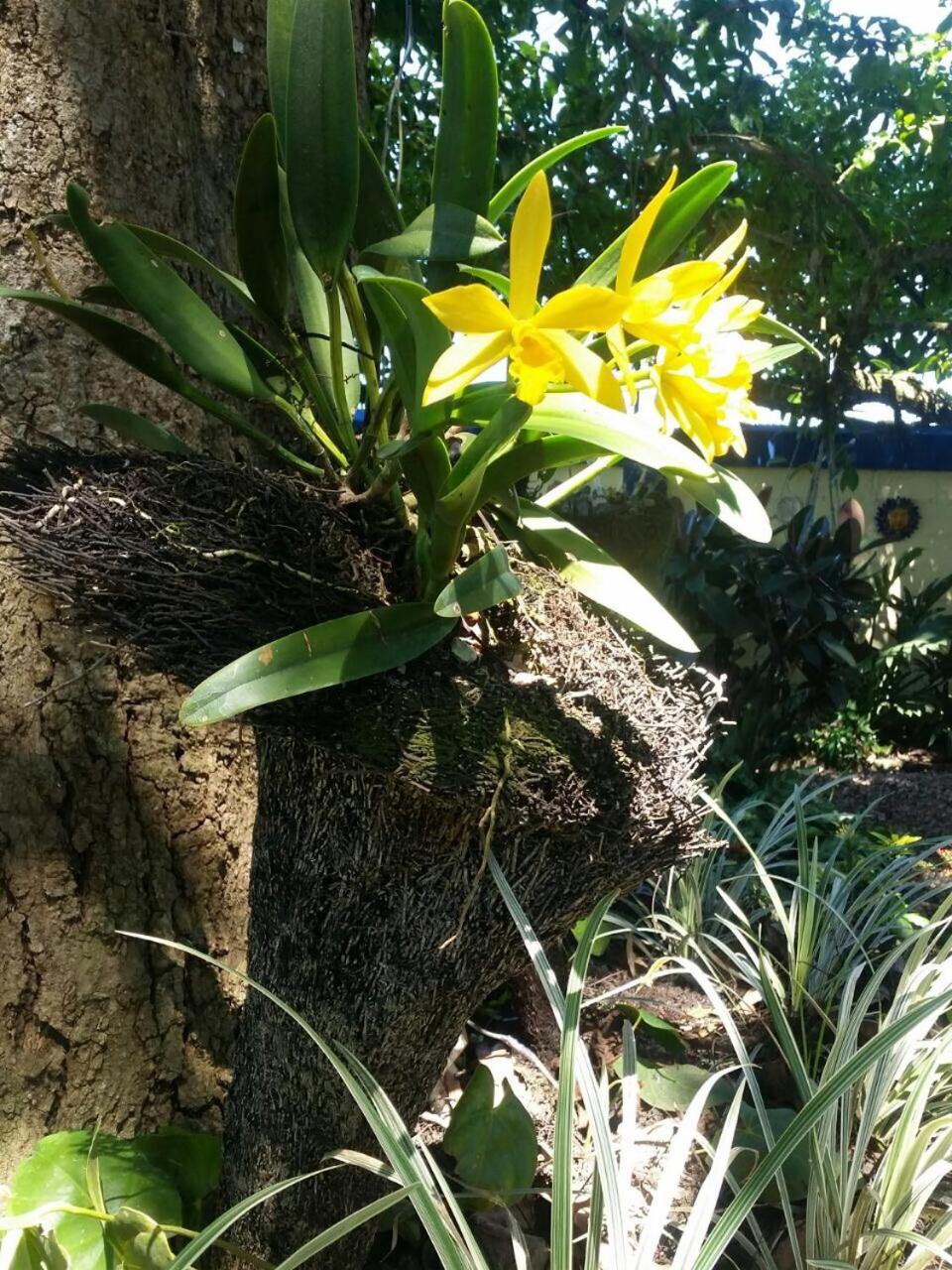 Sana El Jardin Secreto