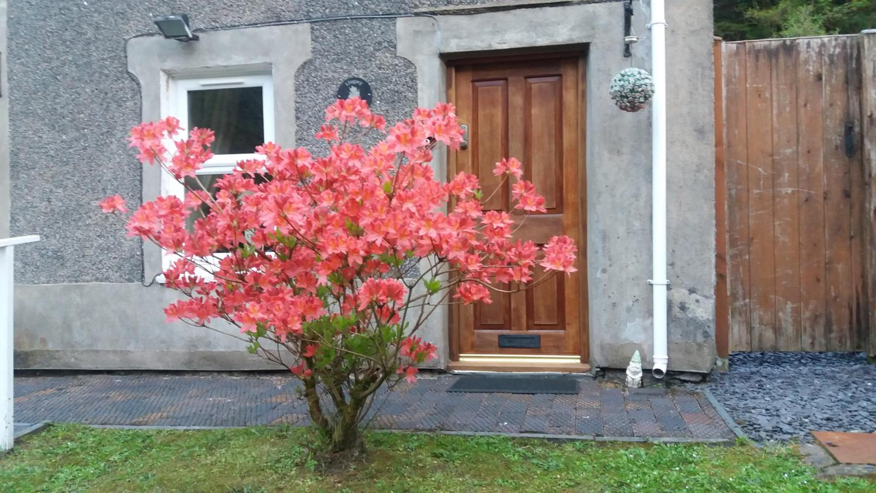 Llugwy Cottage