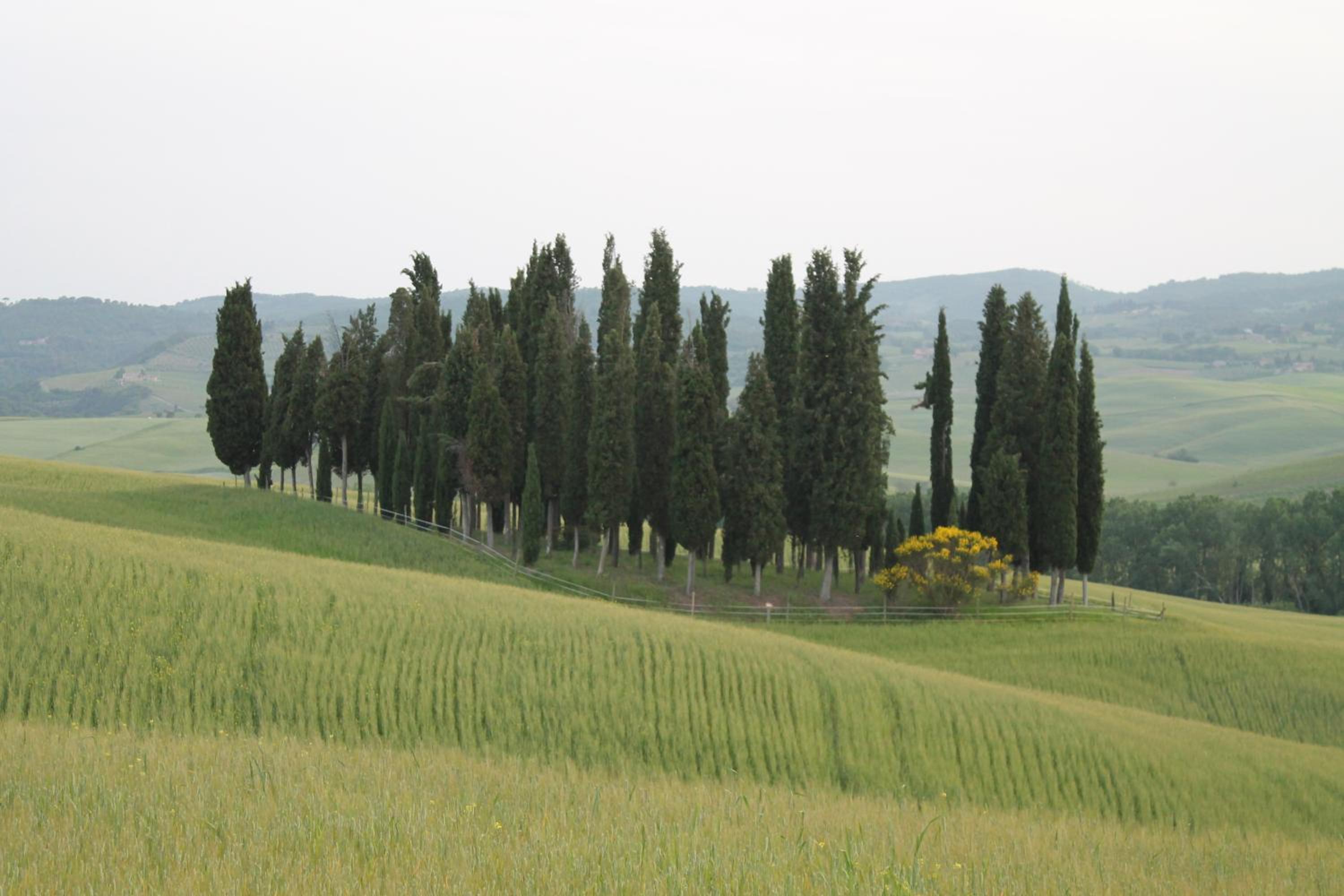 Agriturismo Cantagalli