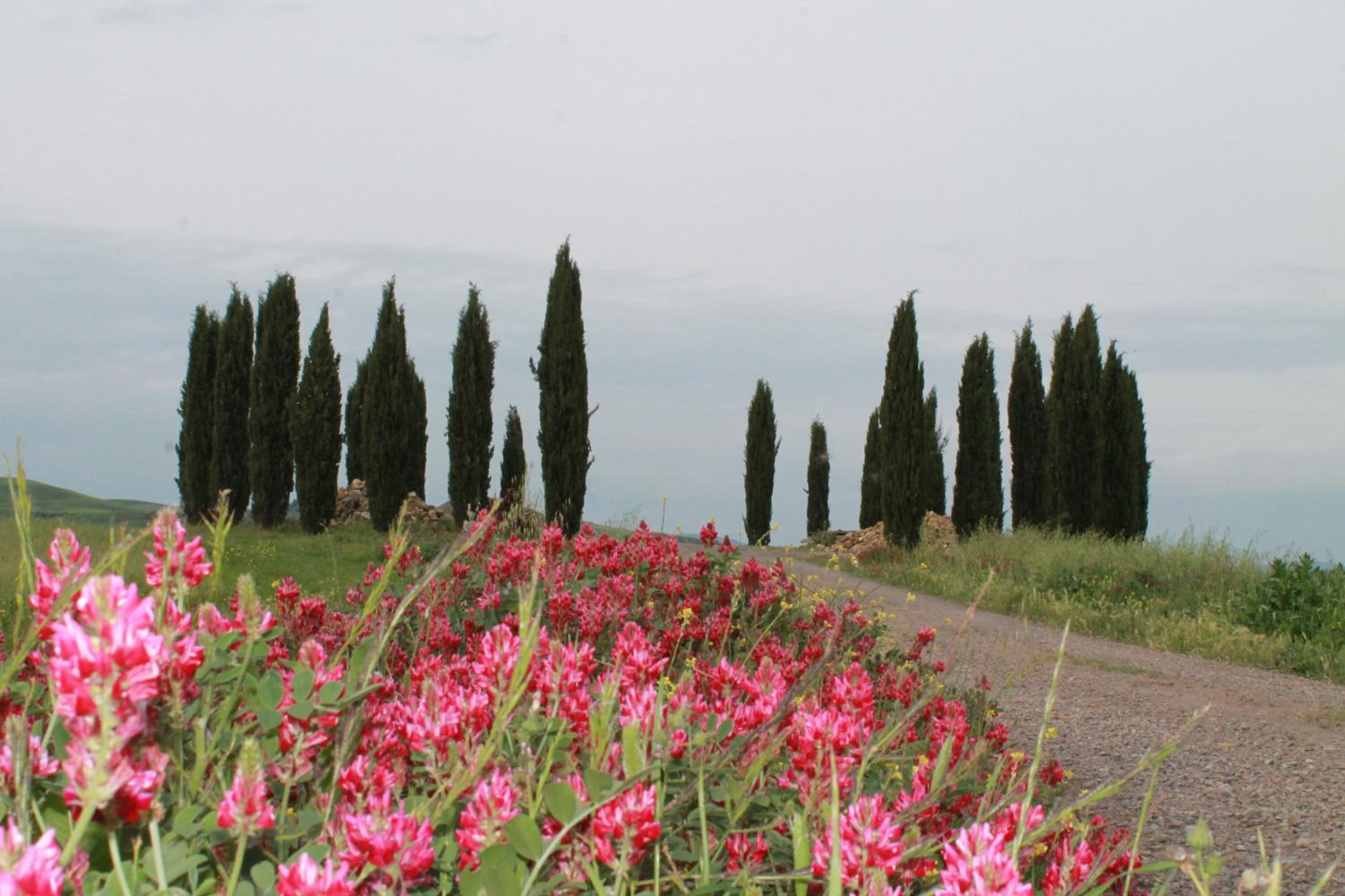 Agriturismo Cantagalli