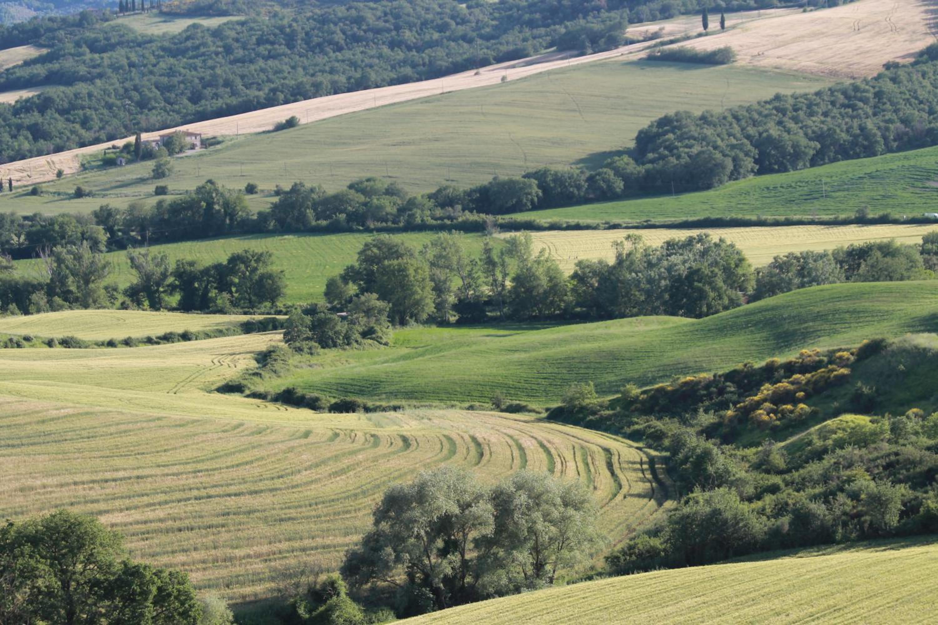 Agriturismo Cantagalli
