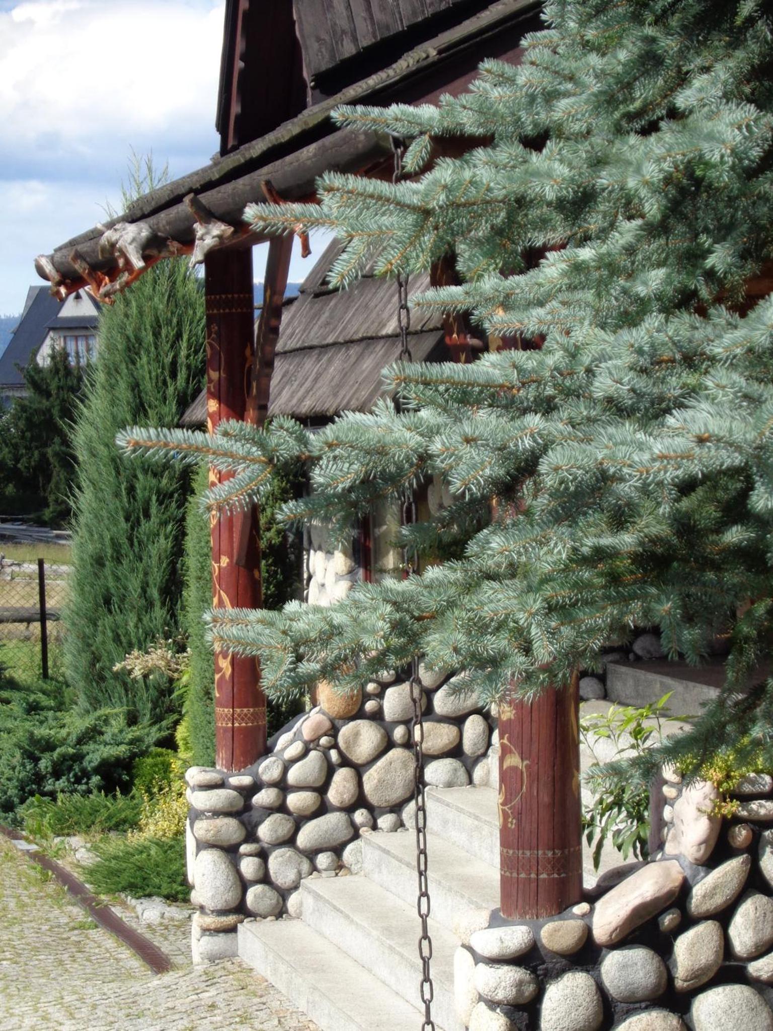 Photo 25
