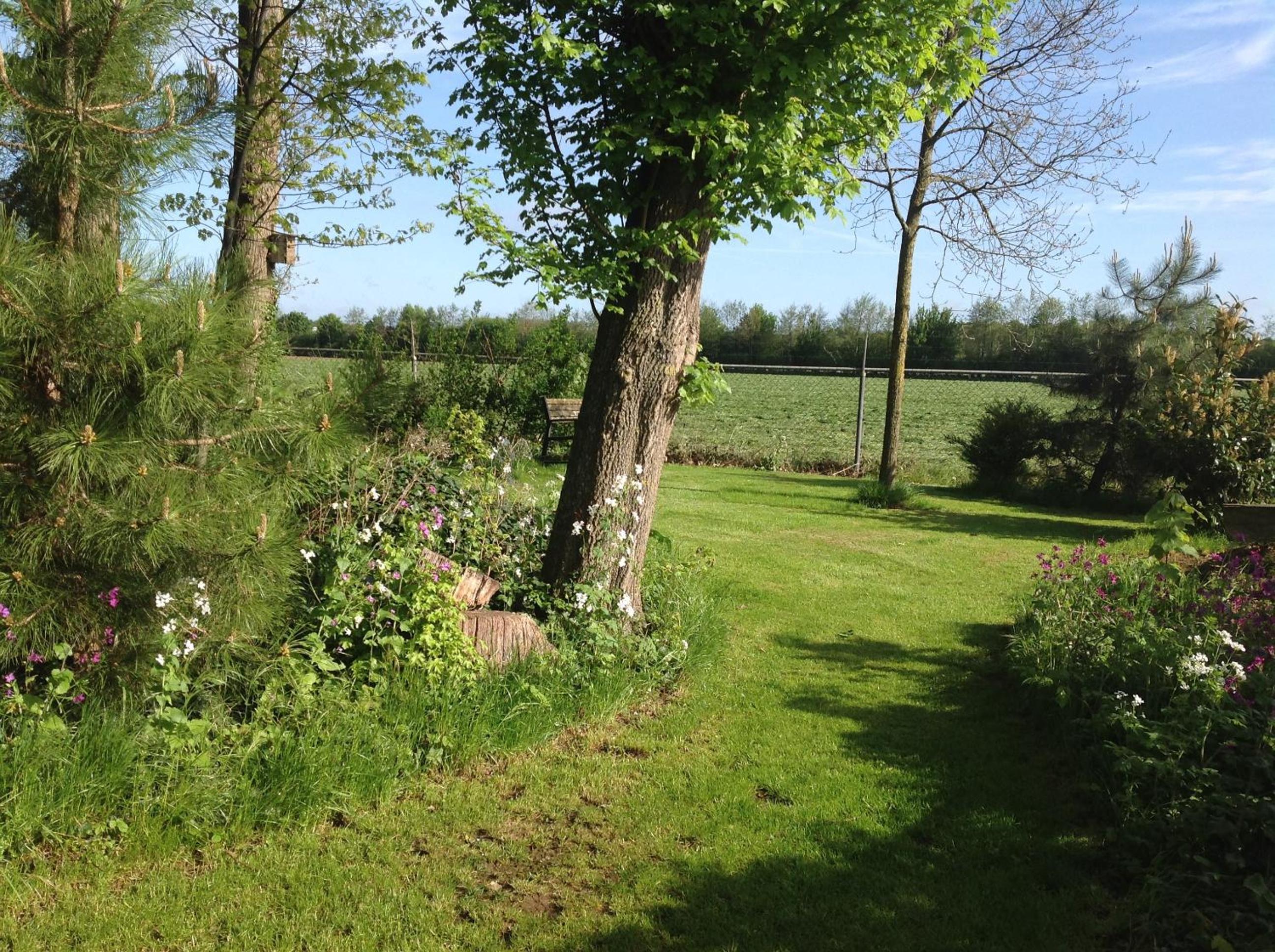 Photo 36