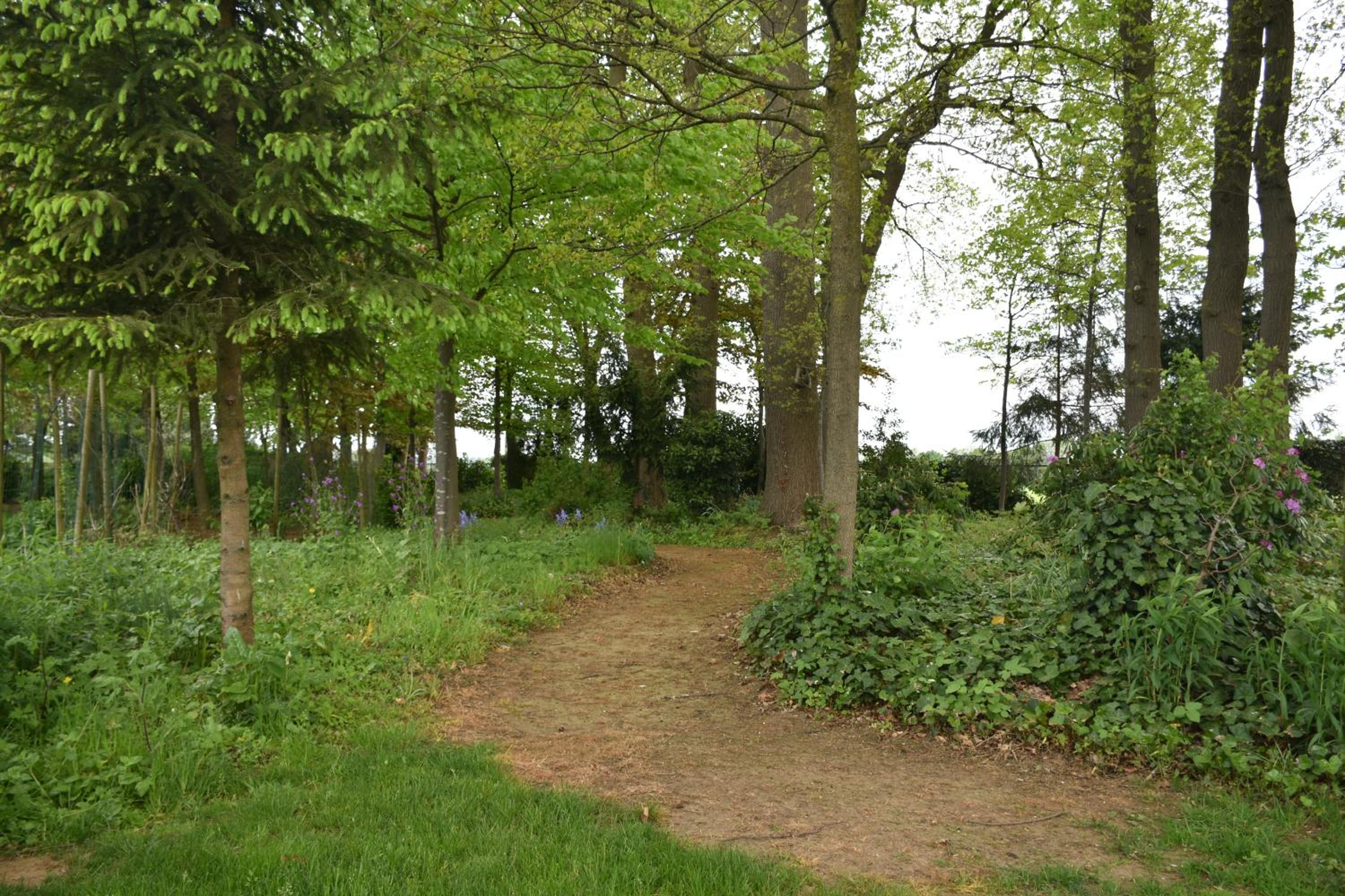 Photo 37