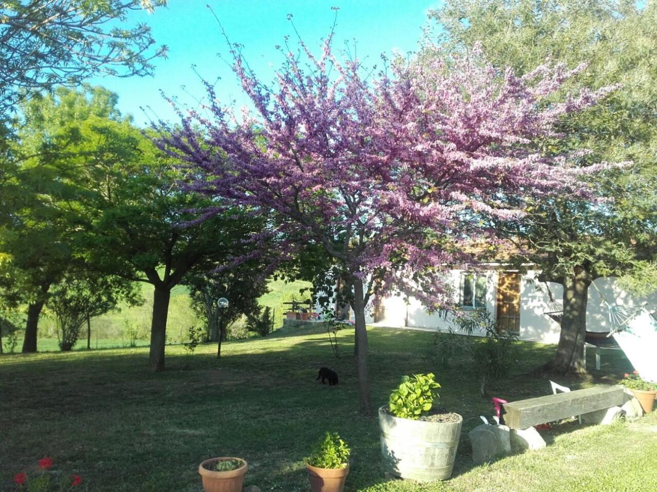 Photo 33