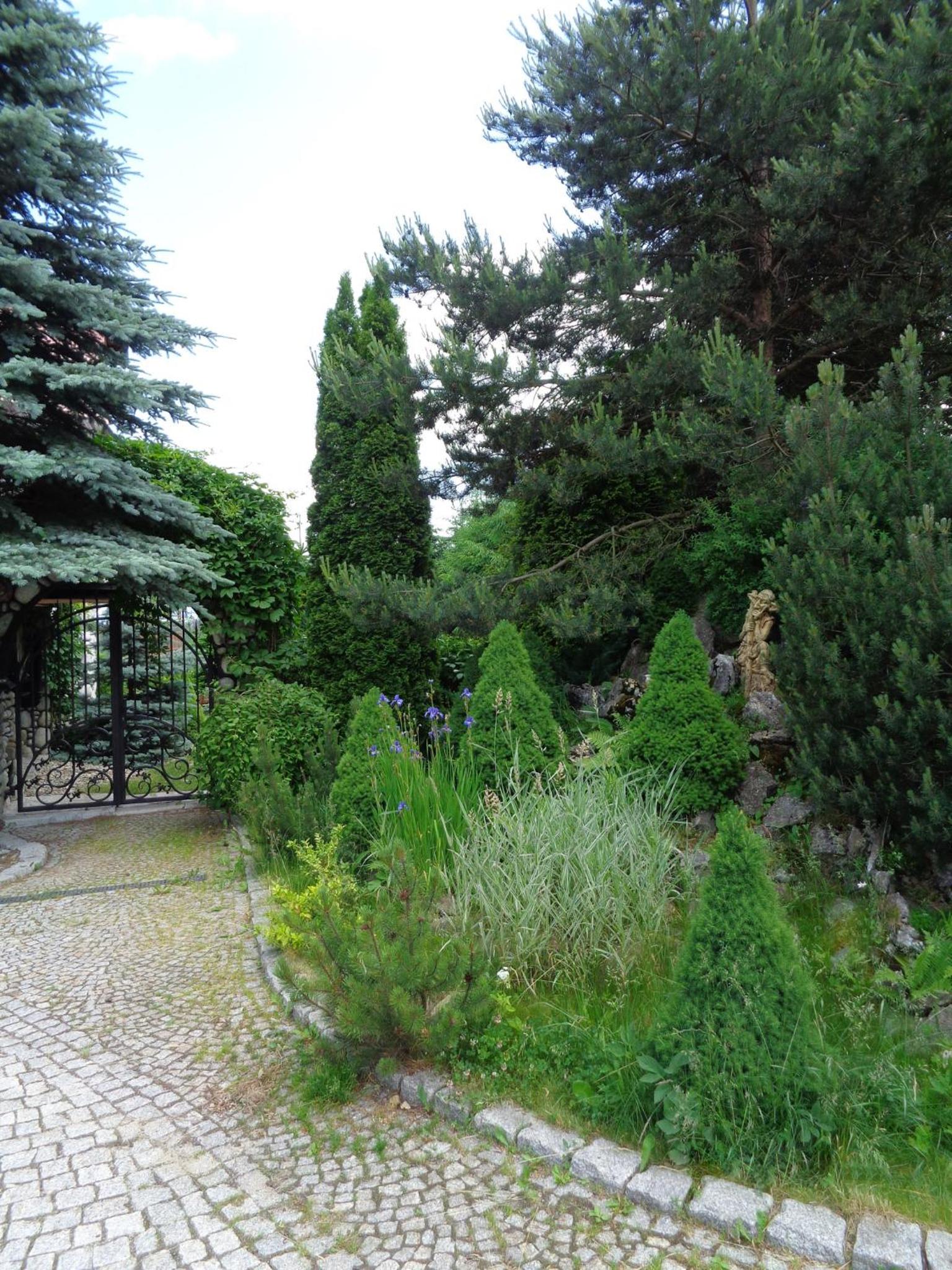Photo 27