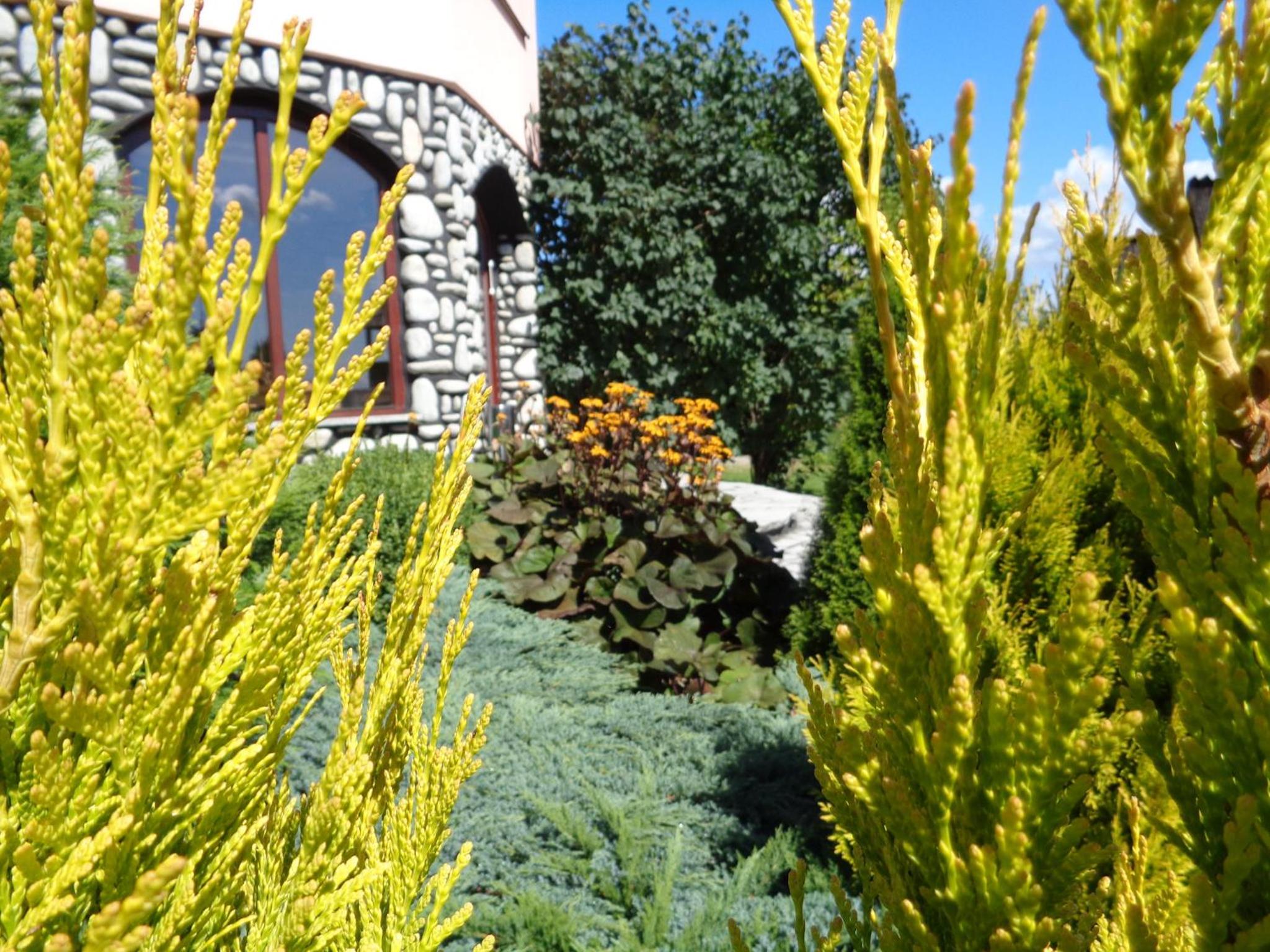 Photo 26