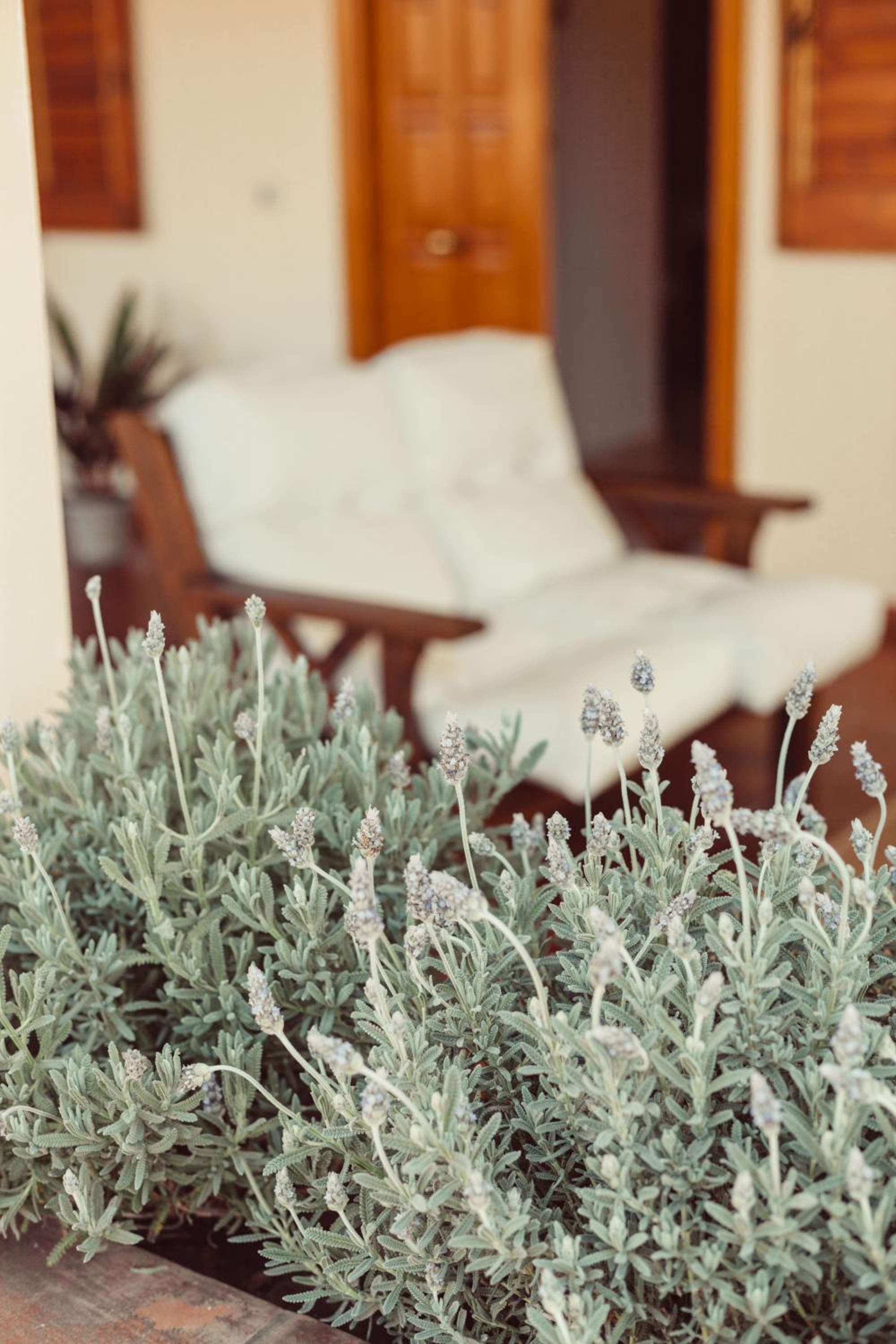B&B Artemisia