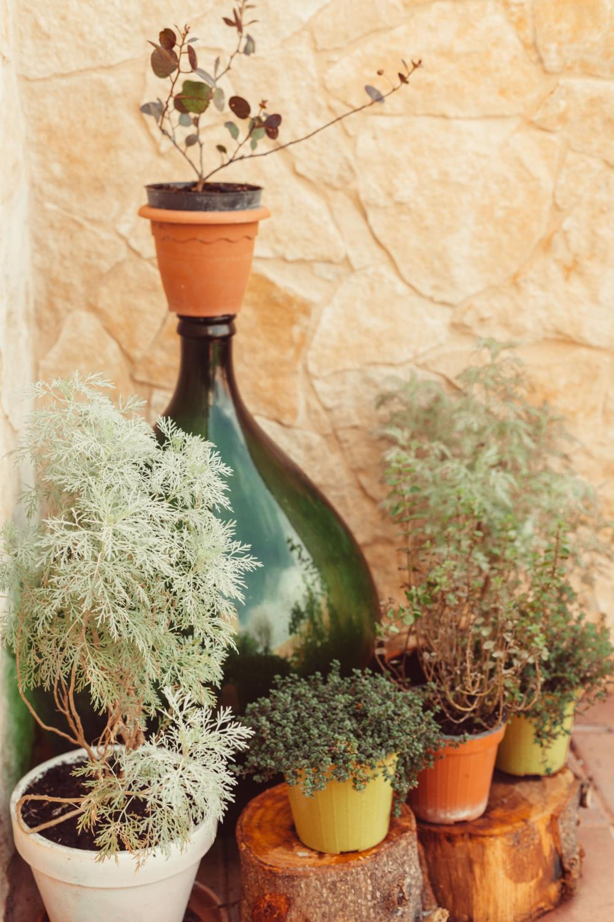 B&B Artemisia
