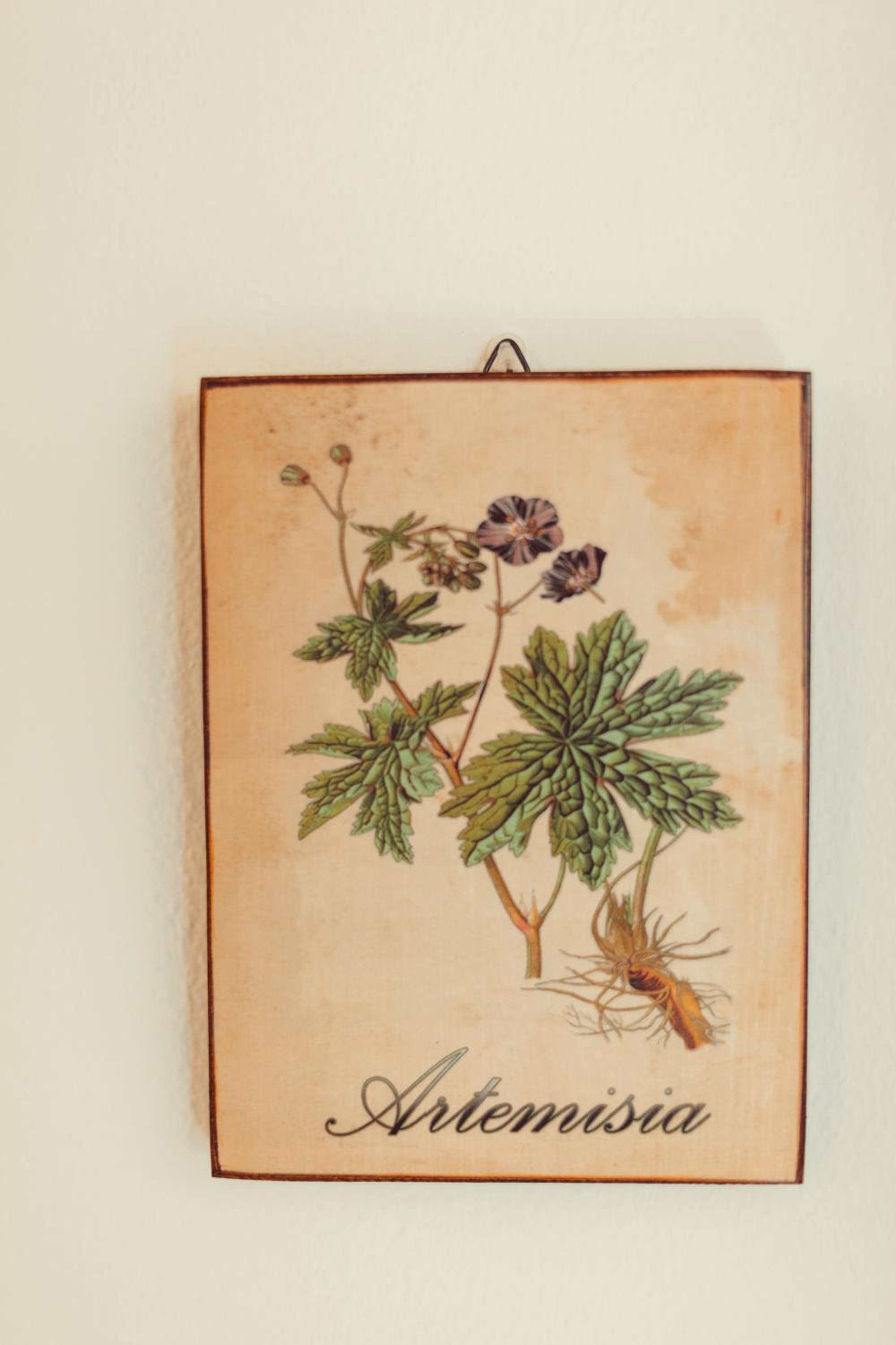 B&B Artemisia