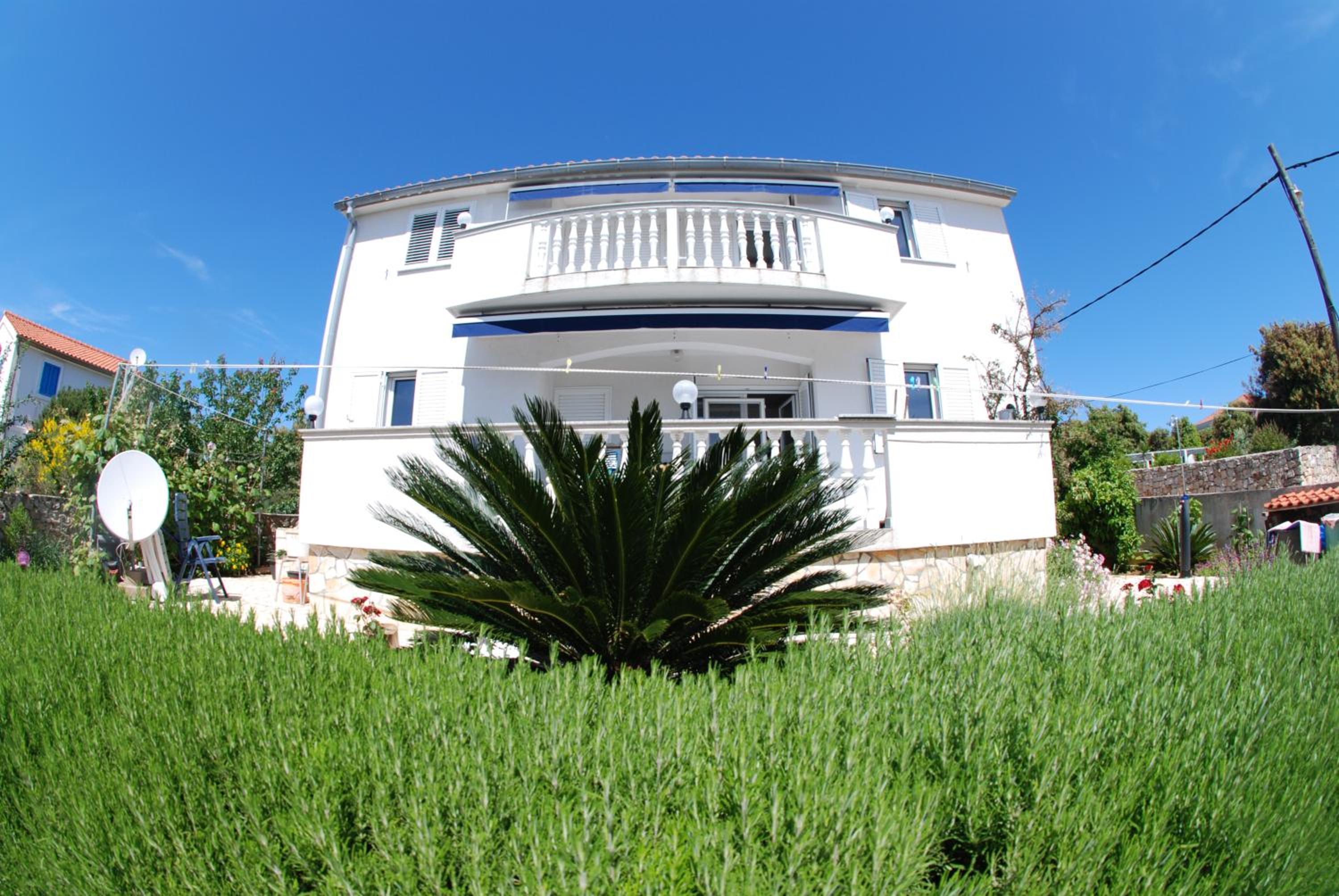 Belvedere view 2