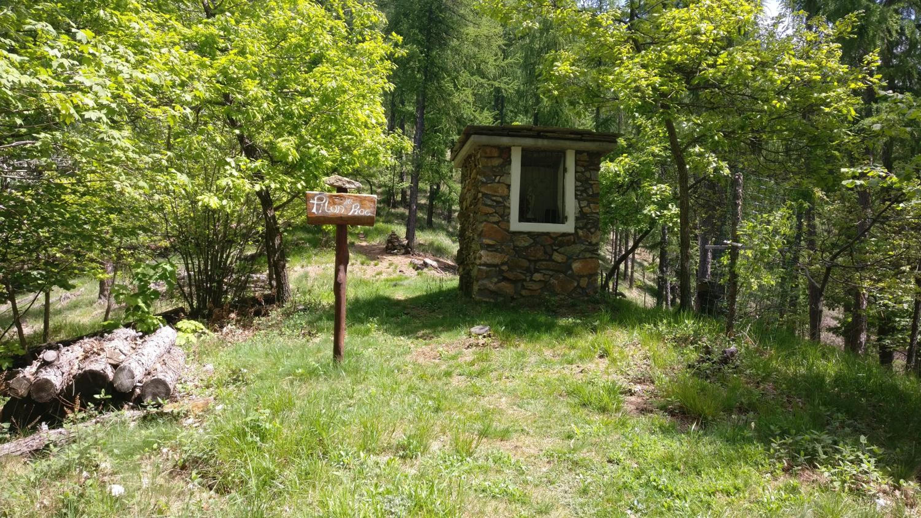 Photo 10