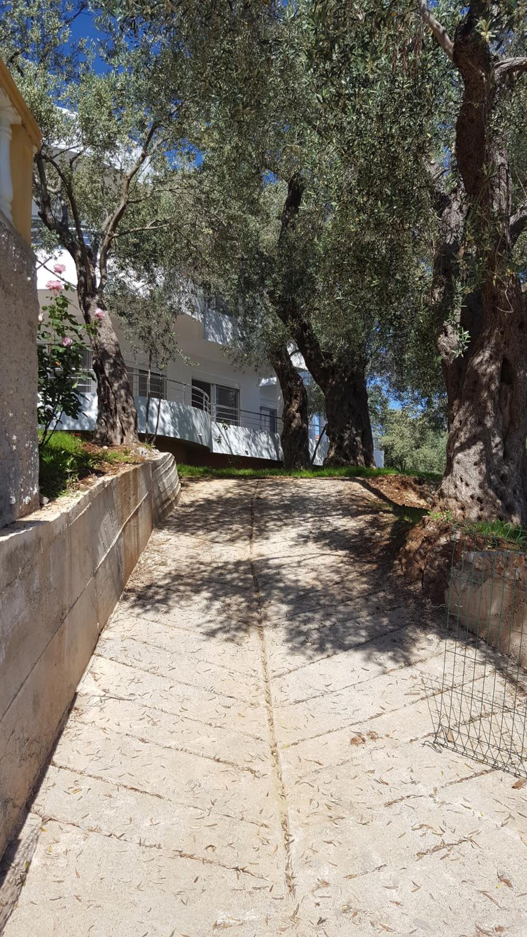 Apartments Sirena