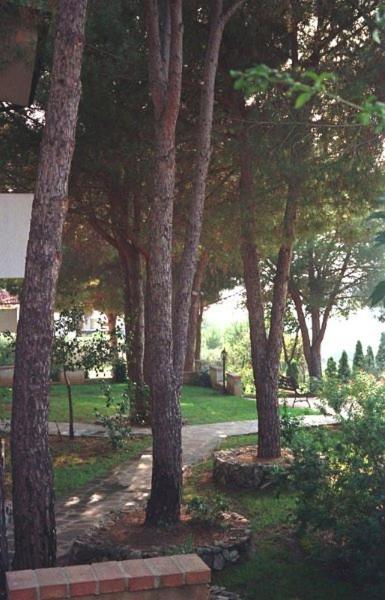 Villaggio Pineta Petto Bianco - Property Image 20