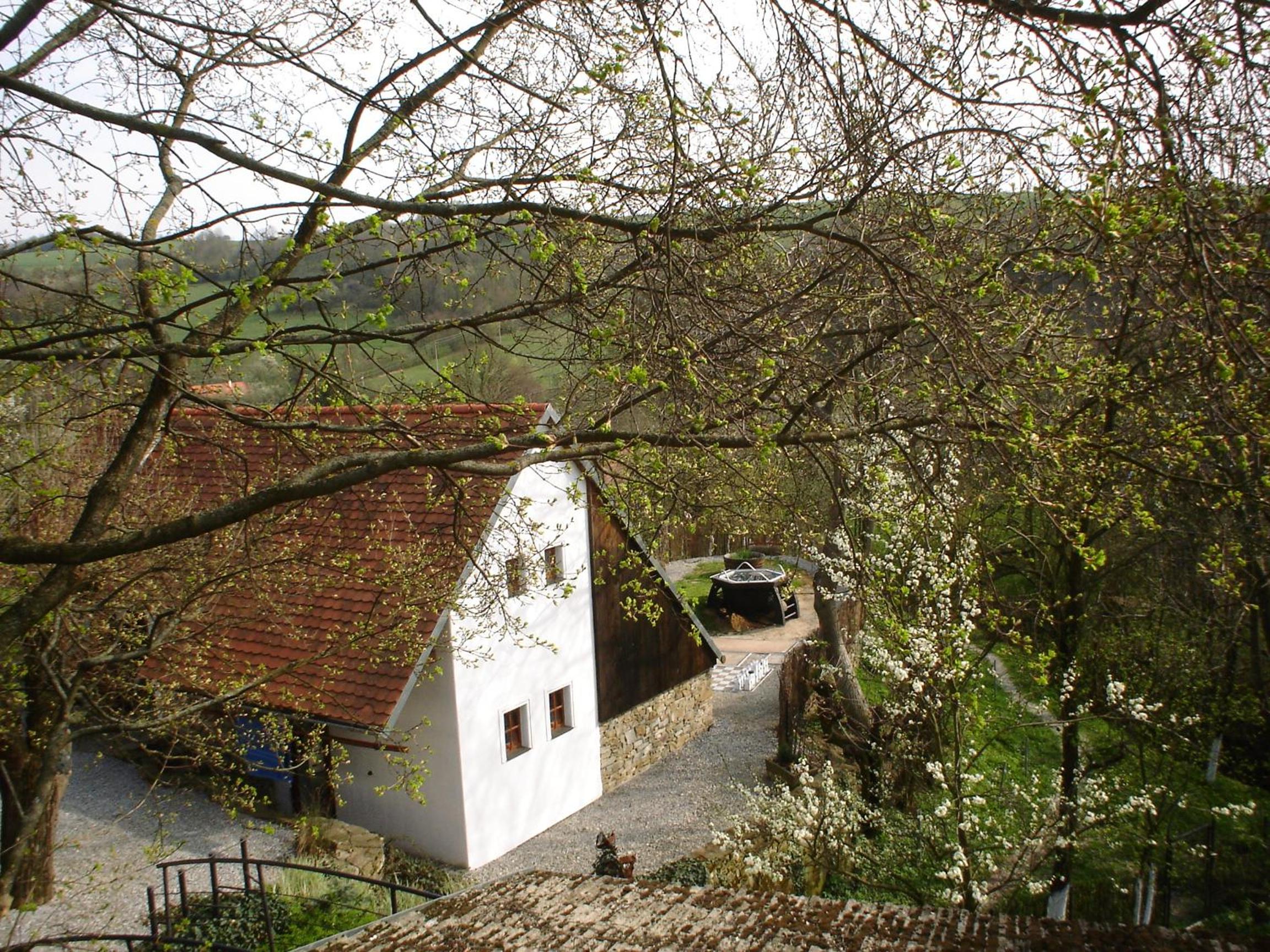 Photo 25