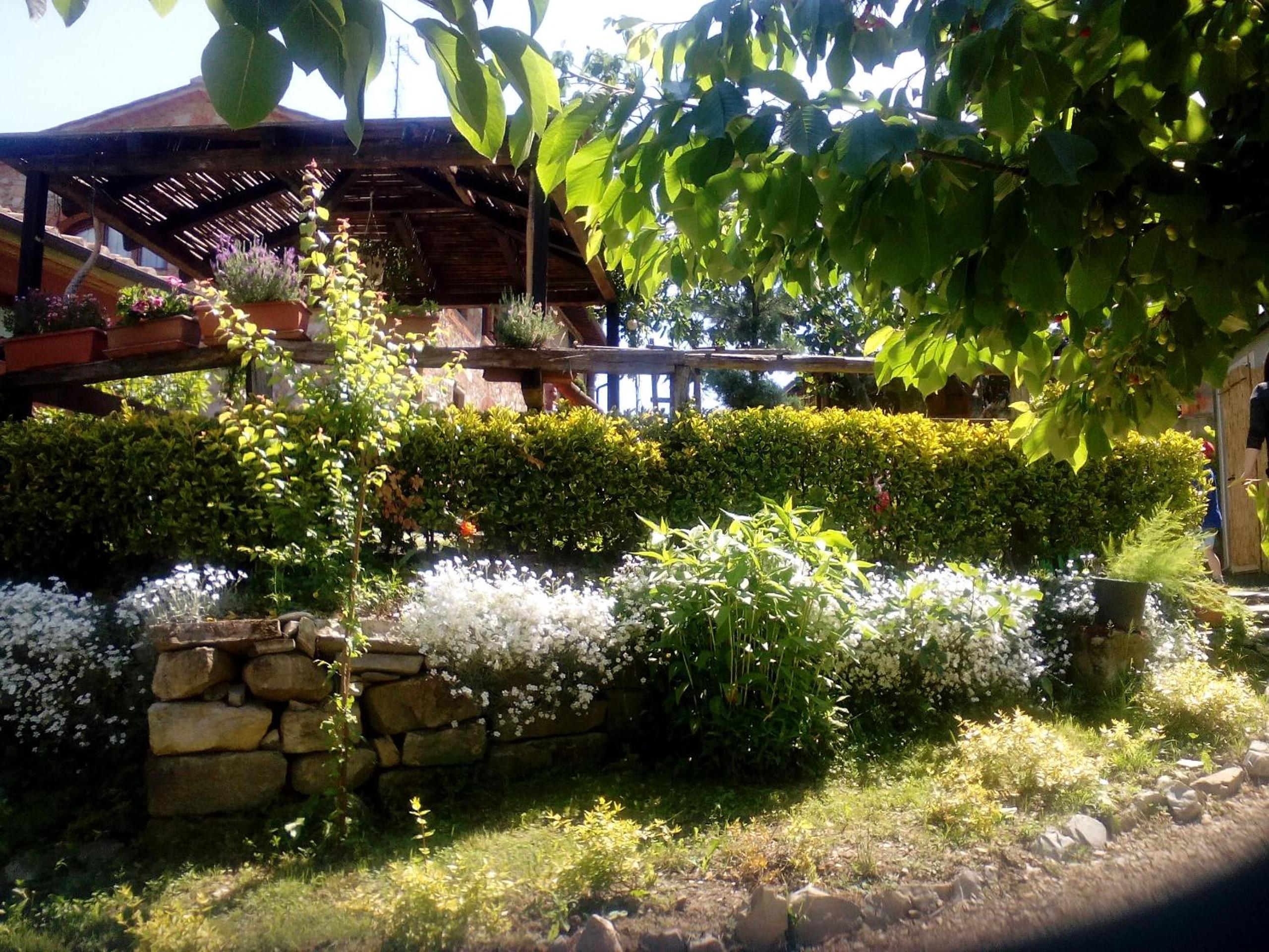 Photo 22