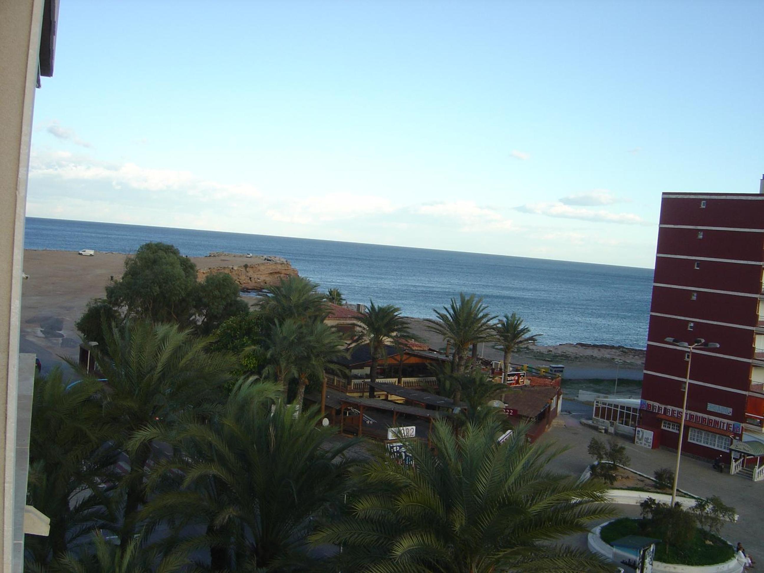 Palmeral de Torrevieja photo 4