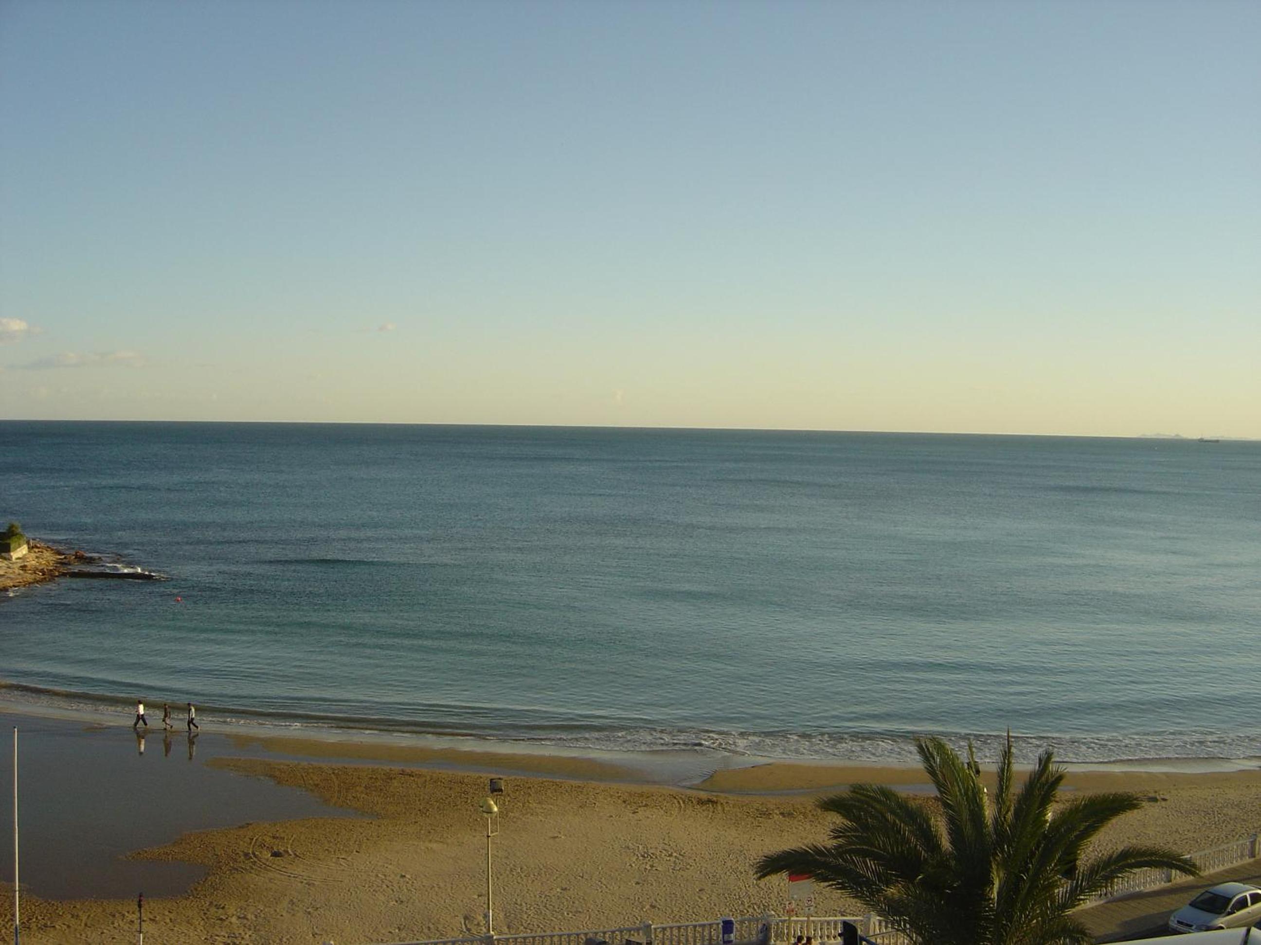 Palmeral de Torrevieja photo 3