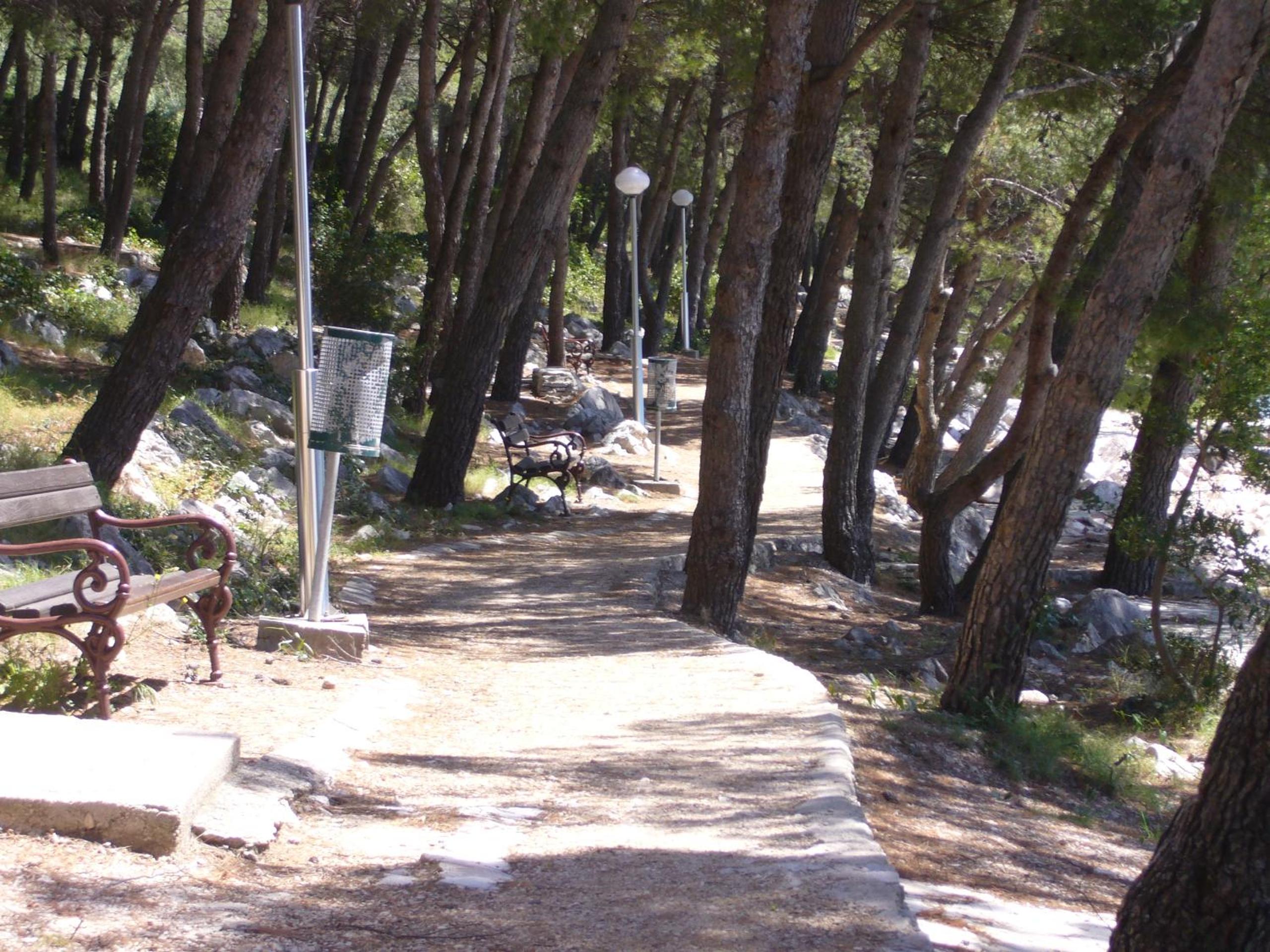 Photo 20