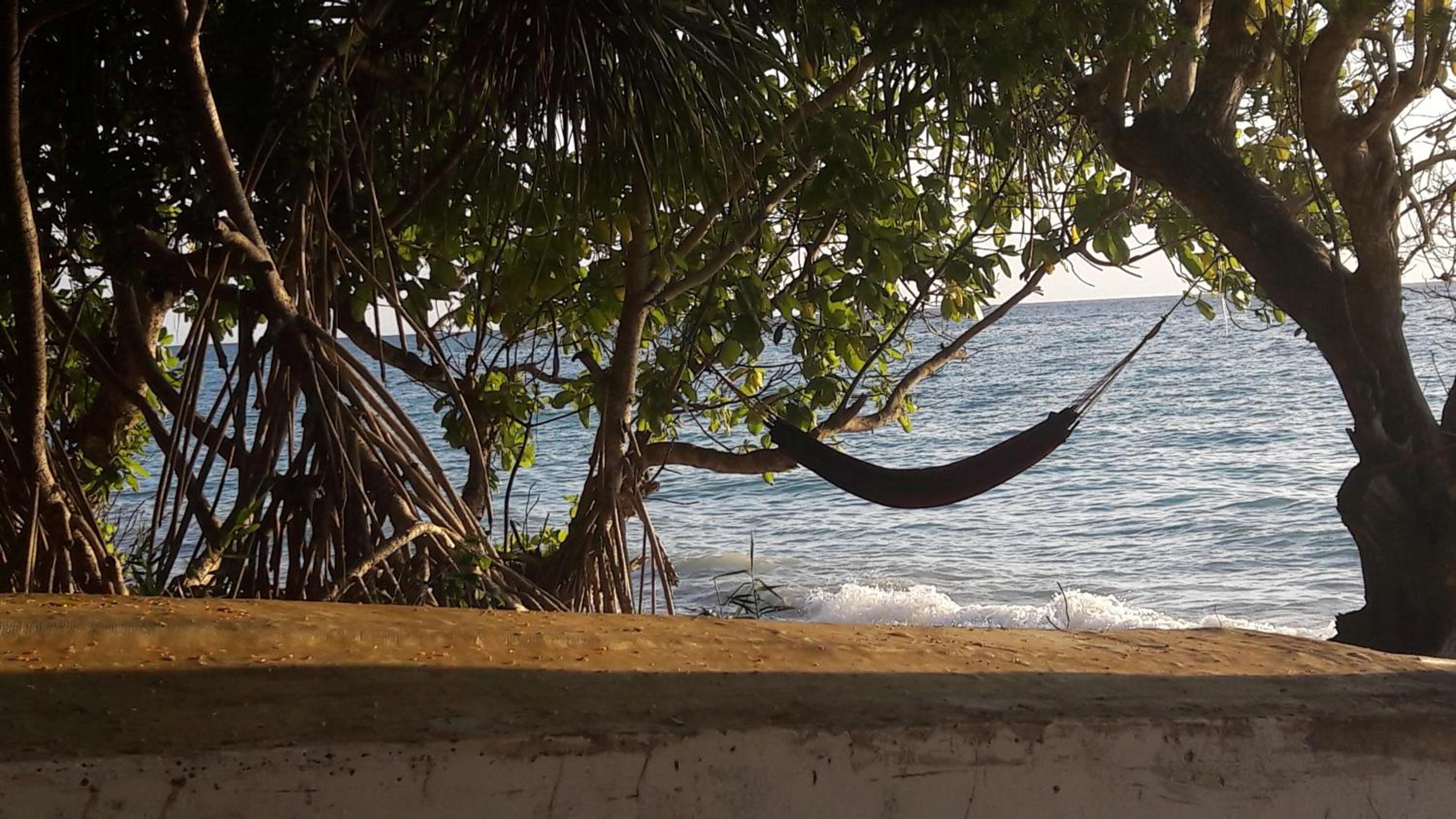 Gecko Nature Lodge Home of Swahili Divers the BEST dive center and Famous Gecko Restaurant