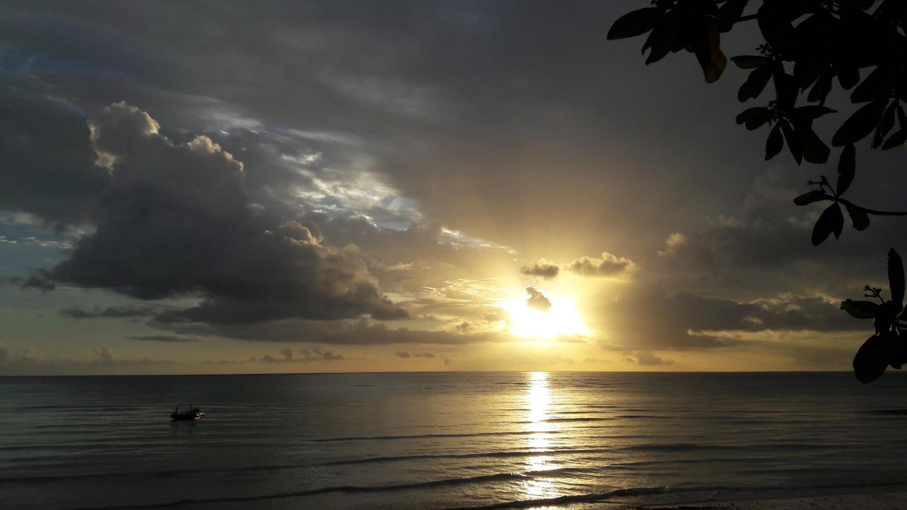 Gecko Nature Lodge Home of Swahili Divers the BEST dive center and Famous Gecko Restaurant