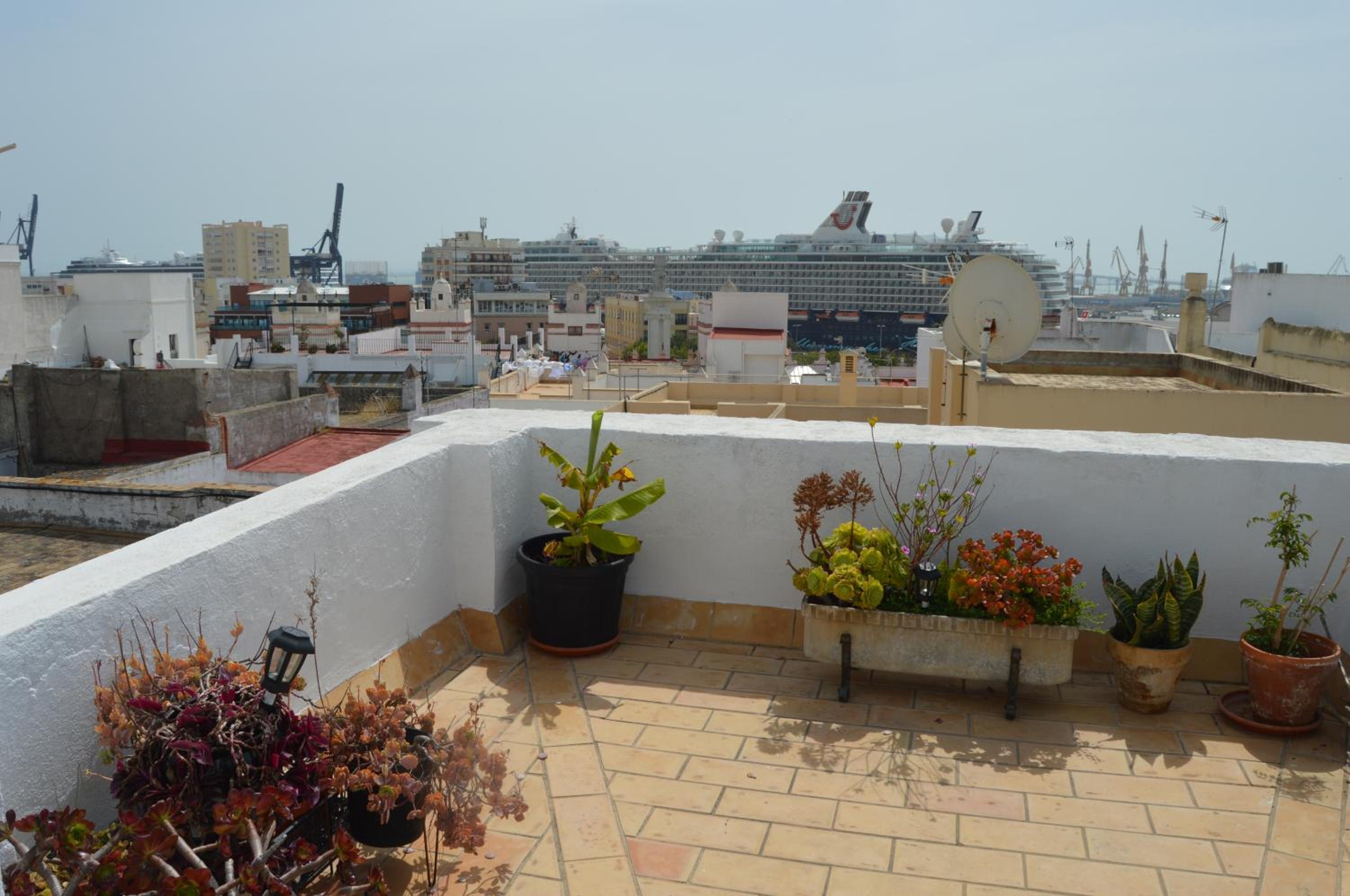 roof