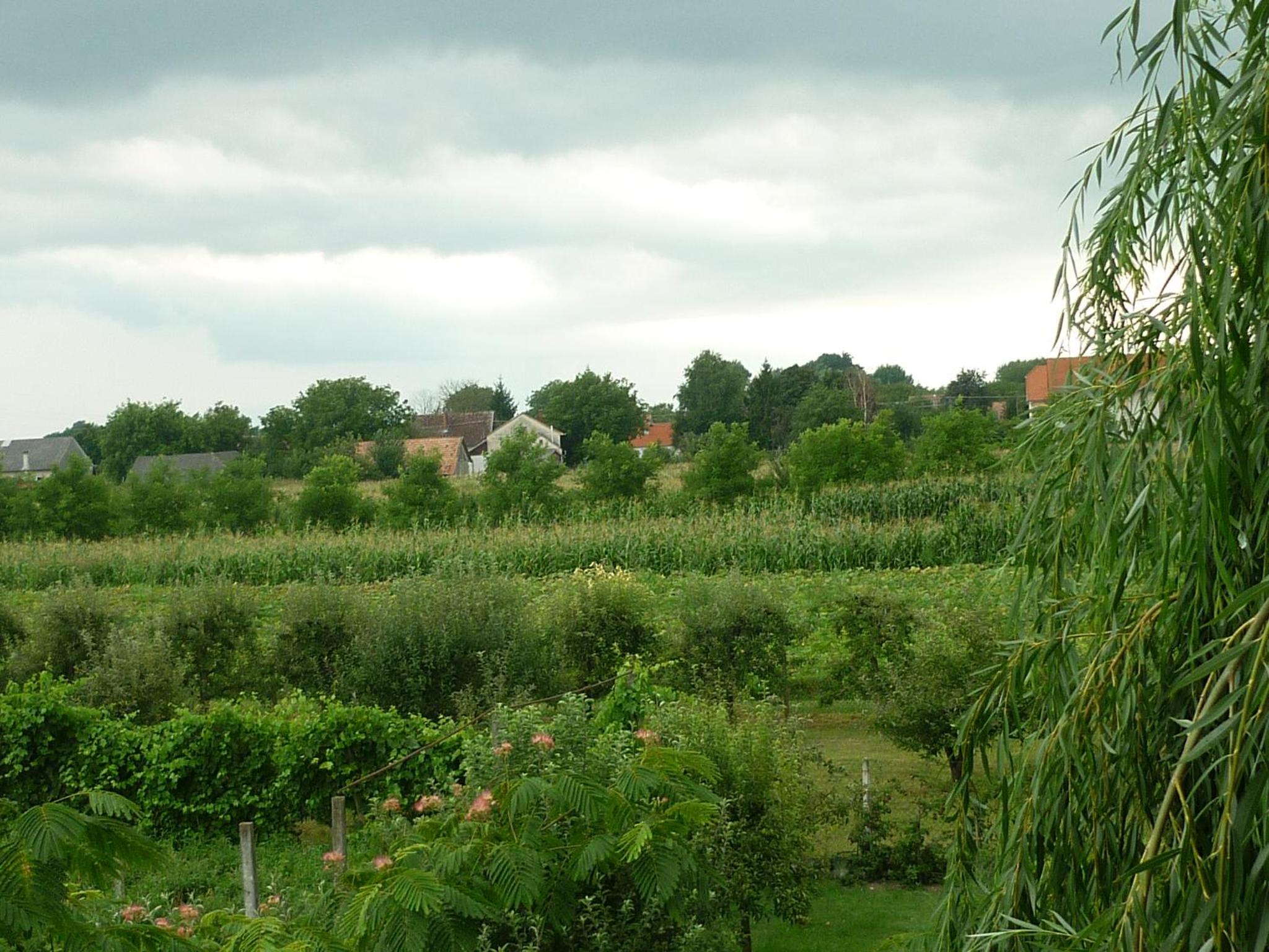 Photo 43