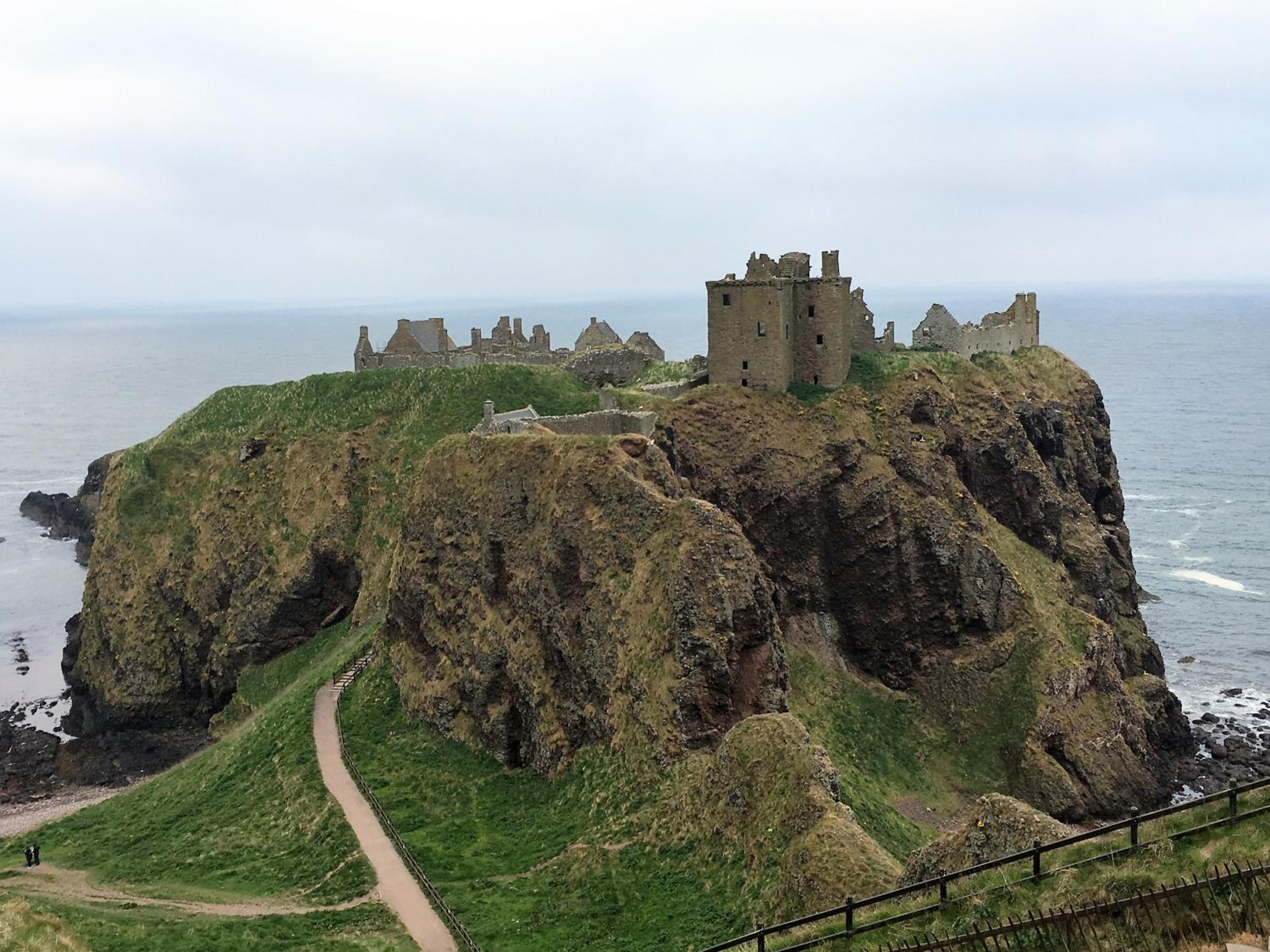 Dunnottar Woods Cottage, photo 12