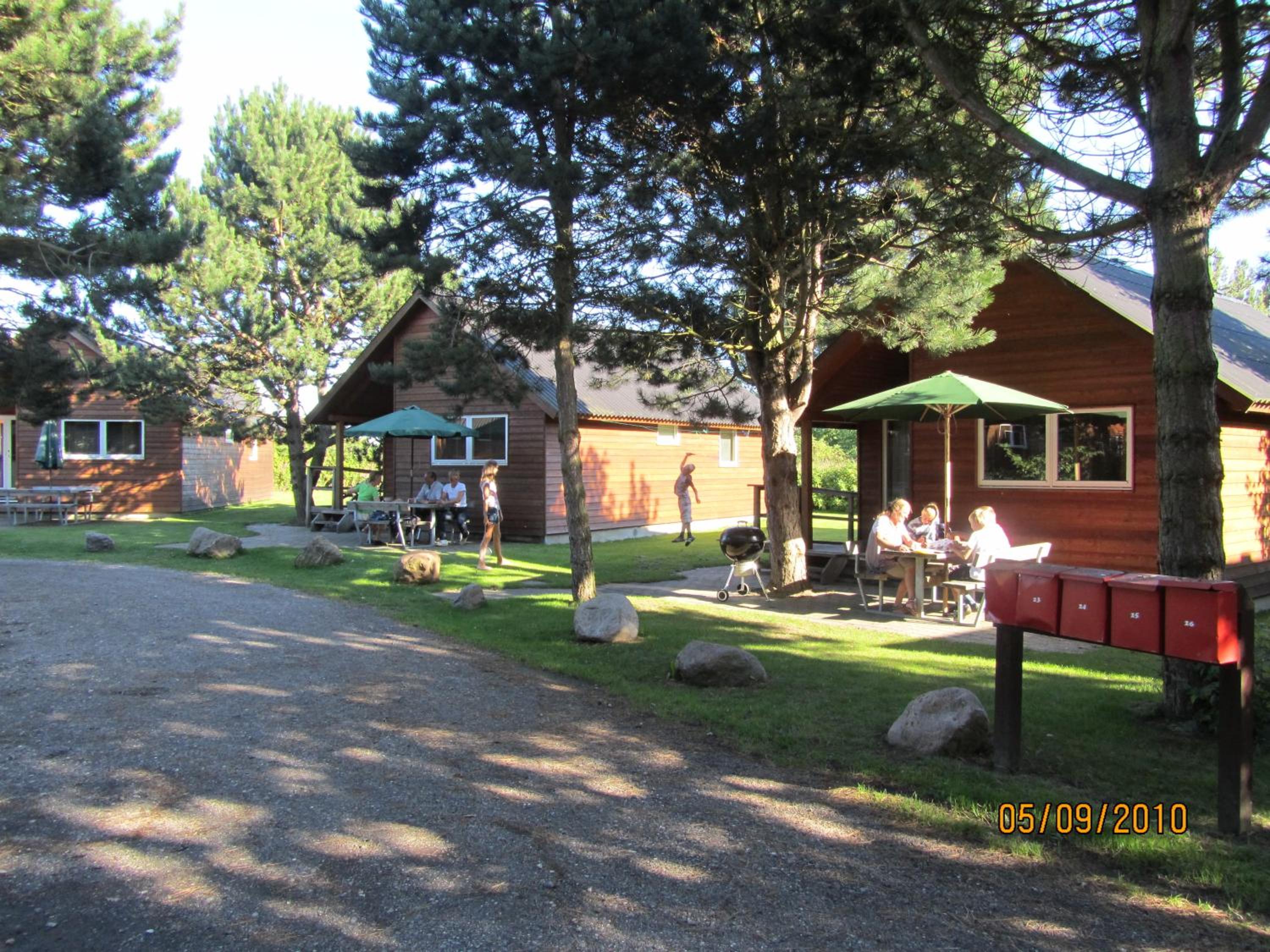 Photo 6