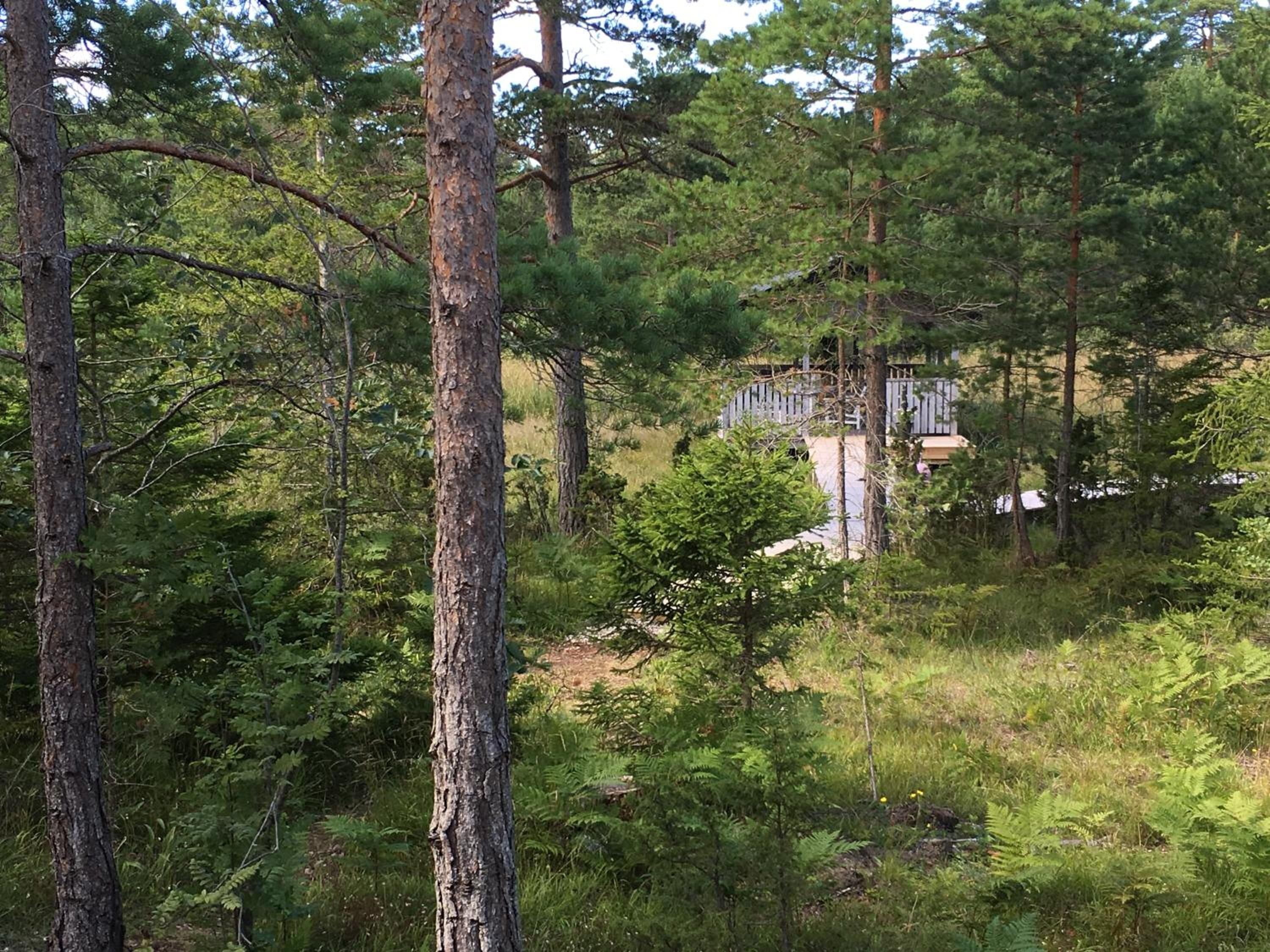Maven Kustnära Stugor