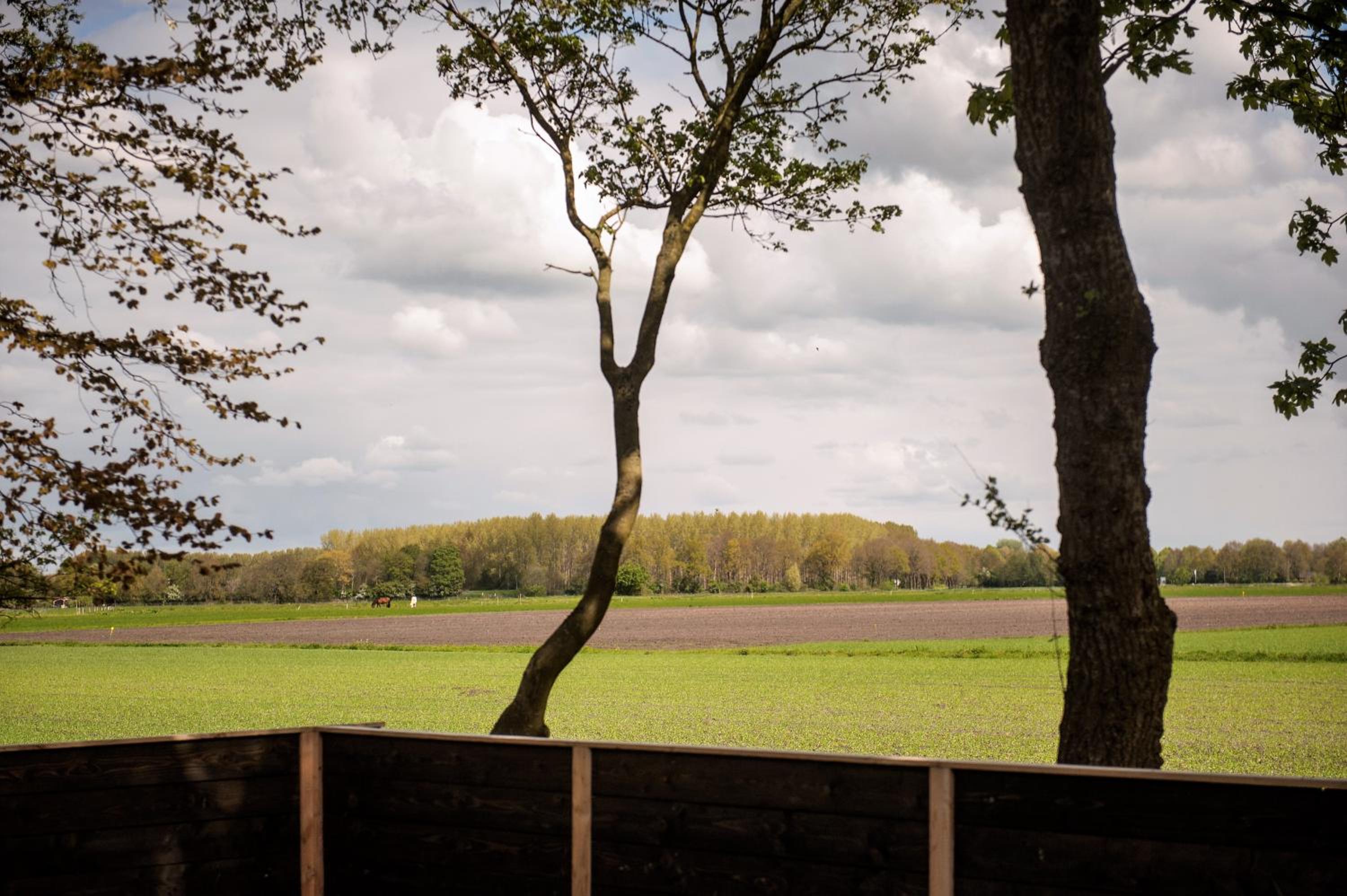 Byonz - Property Image 27