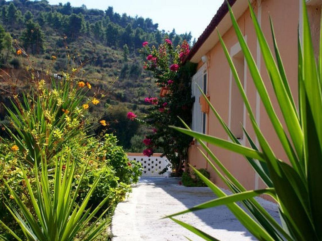 Photo 7