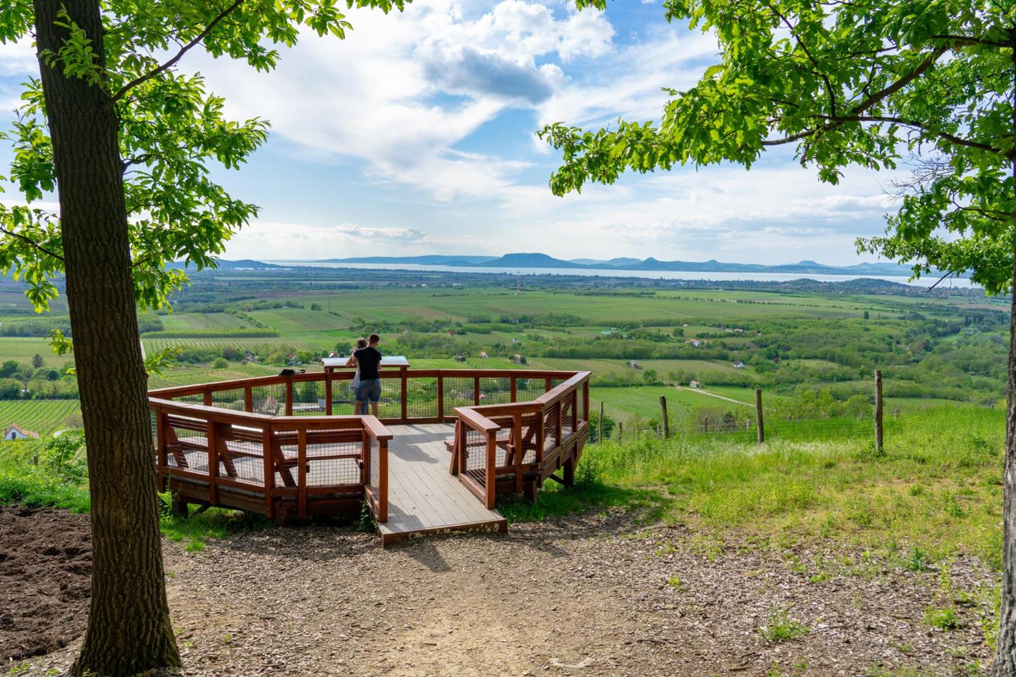 Holiday Homes in Balatonboglar 40843