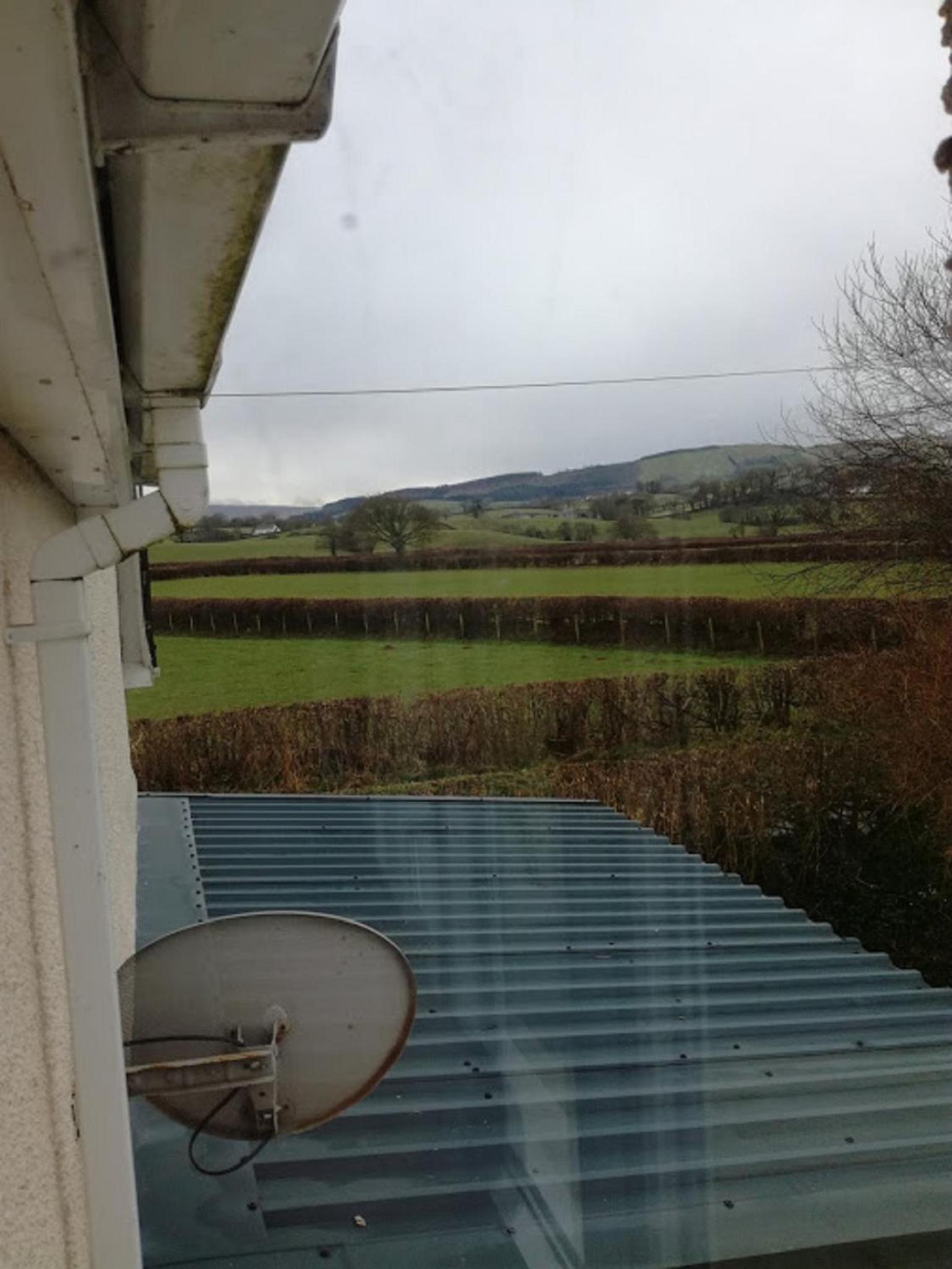 Ty Newydd